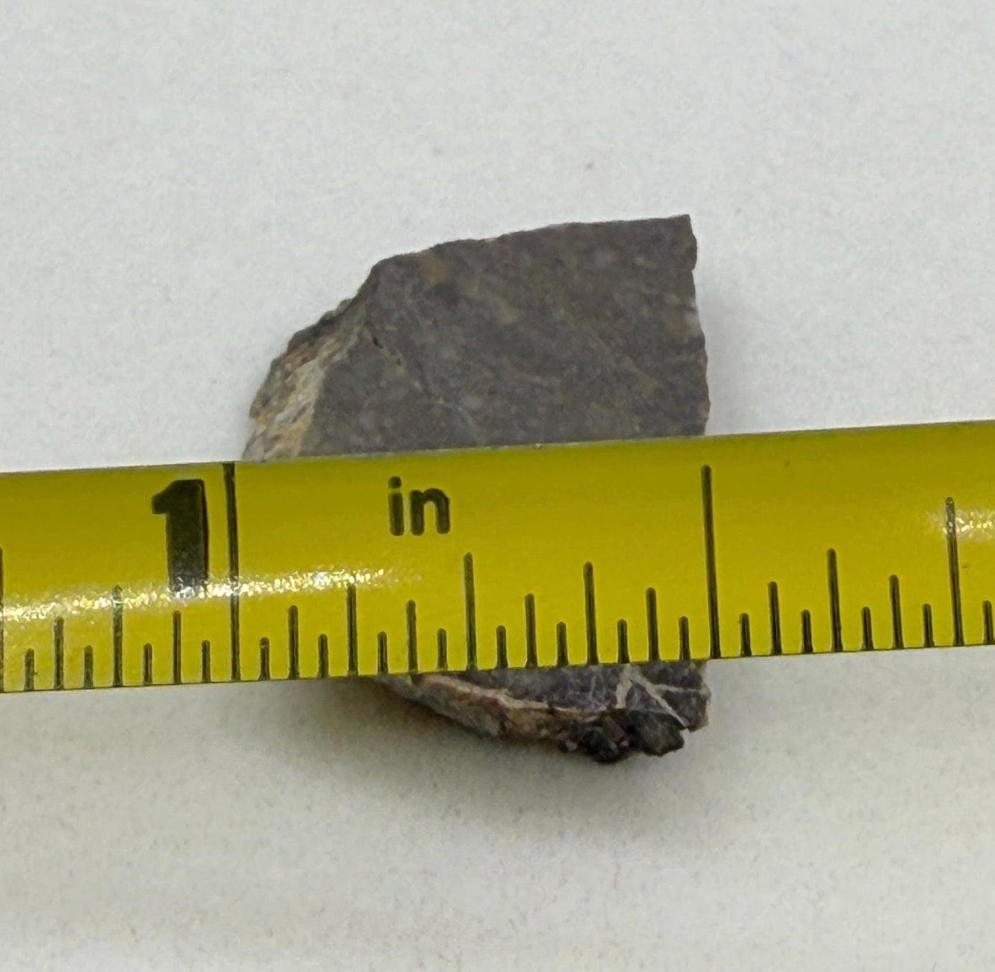 NWA 11182 Moon/Lunar Slice, Moon Rock, Moon Meteorite, Lunar Feldspathic Breccia, Meteorite Collection, Space Gift, Astronomy Gift, 1.55g