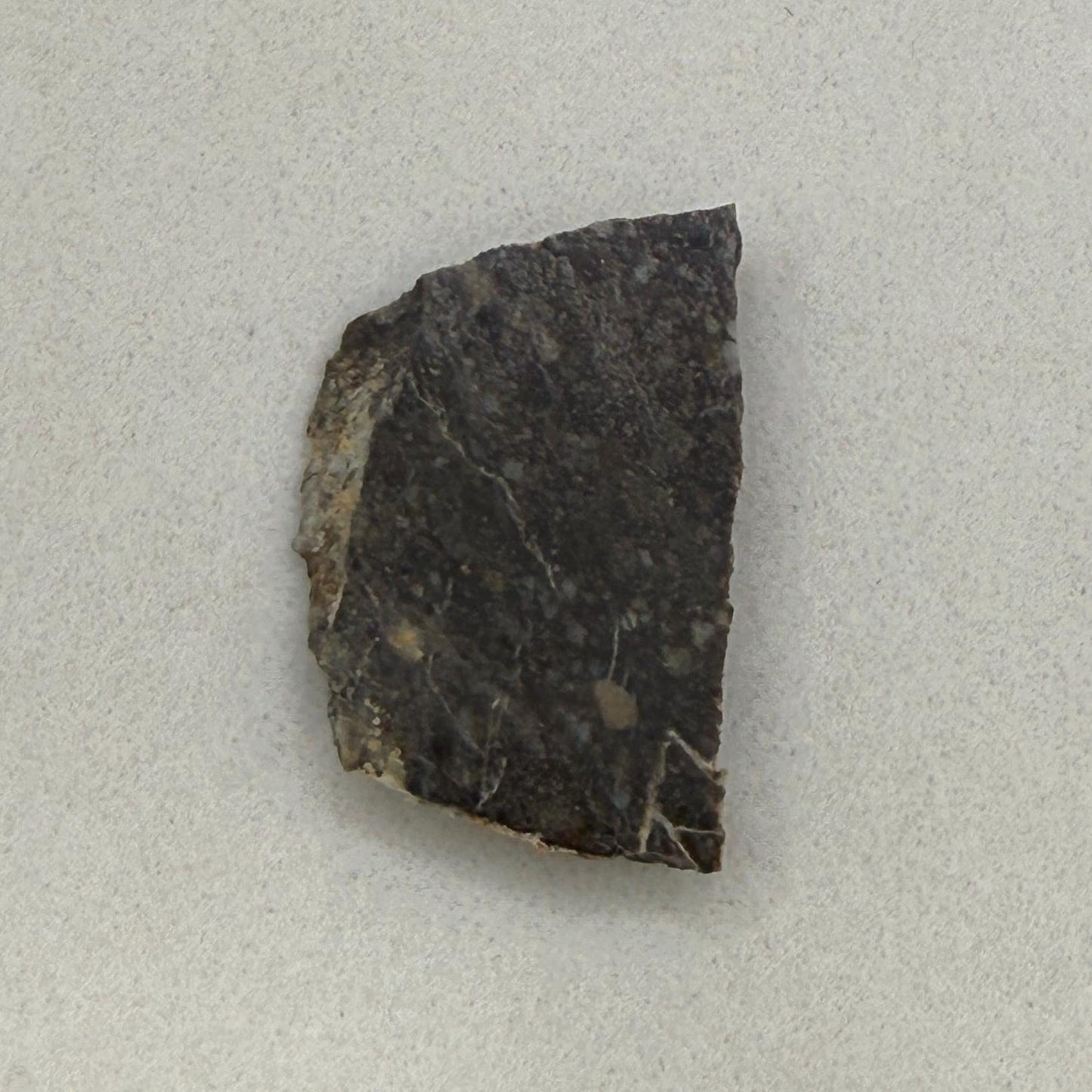 NWA 11182 Moon/Lunar Slice, Moon Rock, Moon Meteorite, Lunar Feldspathic Breccia, Meteorite Collection, Space Gift, Astronomy Gift, 1.55g