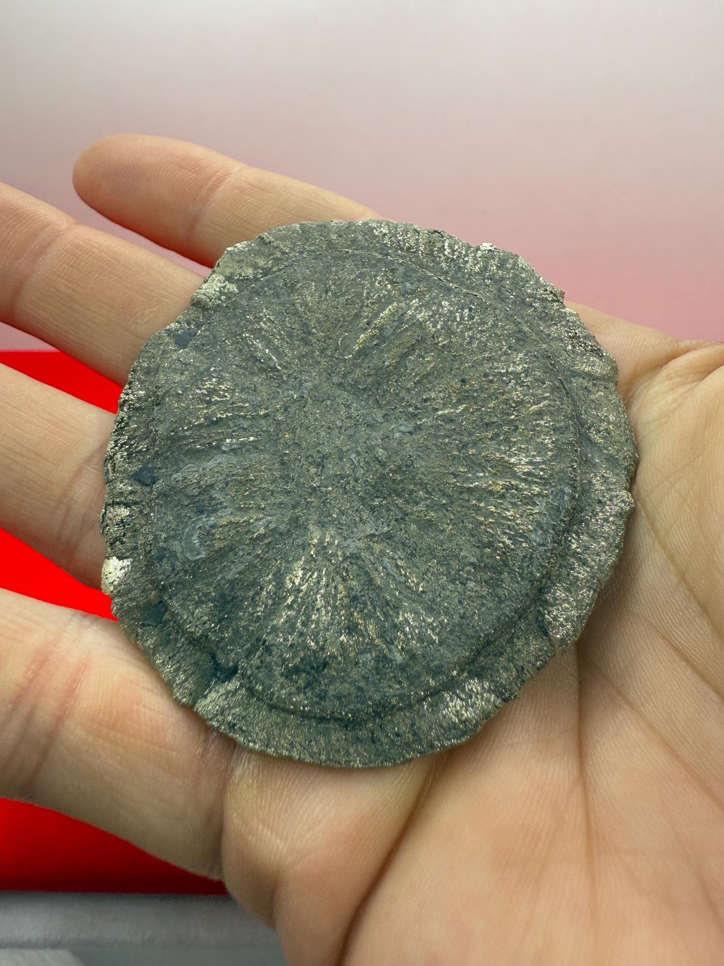 Sparkling Pyrite Sun, Pyrite Dollar, Pyrite, Rock Collection, Sparta Illinois, Radiant Sun, Abundance, Creativity, Energy Work, 75.90 Grams