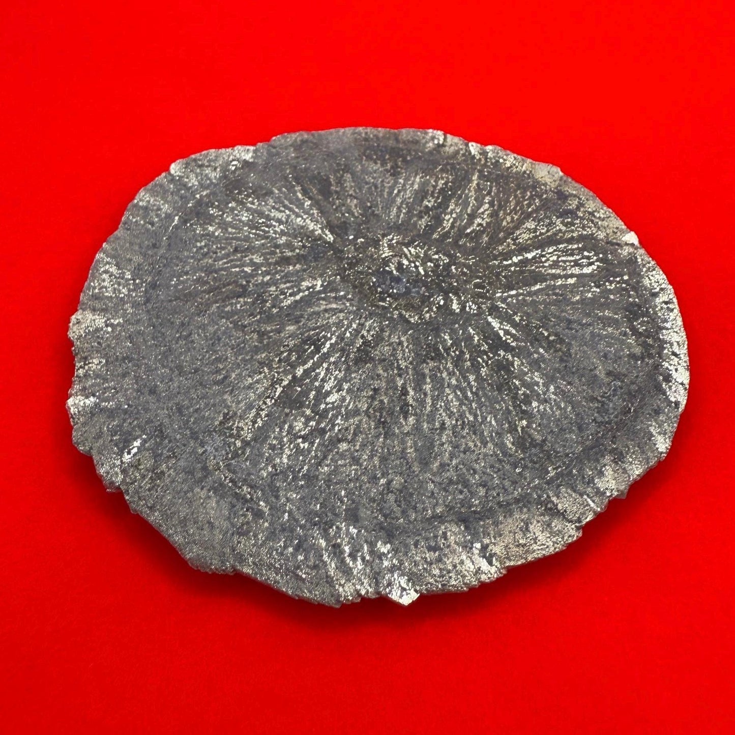 Sparkling Pyrite Sun, Pyrite Dollar, Pyrite, Rock Collection, Sparta Illinois, Radiant Sun, Abundance, Creativity, Energy Work, 75.90 Grams