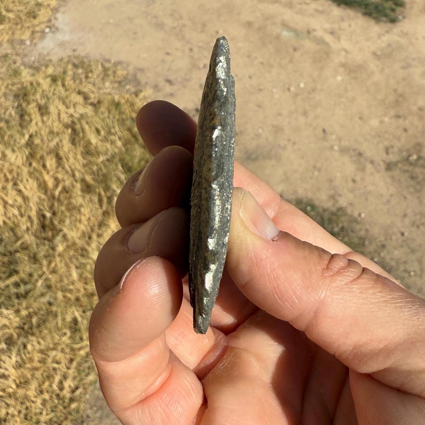 Sparkling Pyrite Sun, Pyrite Dollar, Pyrite, Rock Collection, Sparta Illinois, Radiant Sun, Abundance, Creativity, Energy Work, 75.90 Grams