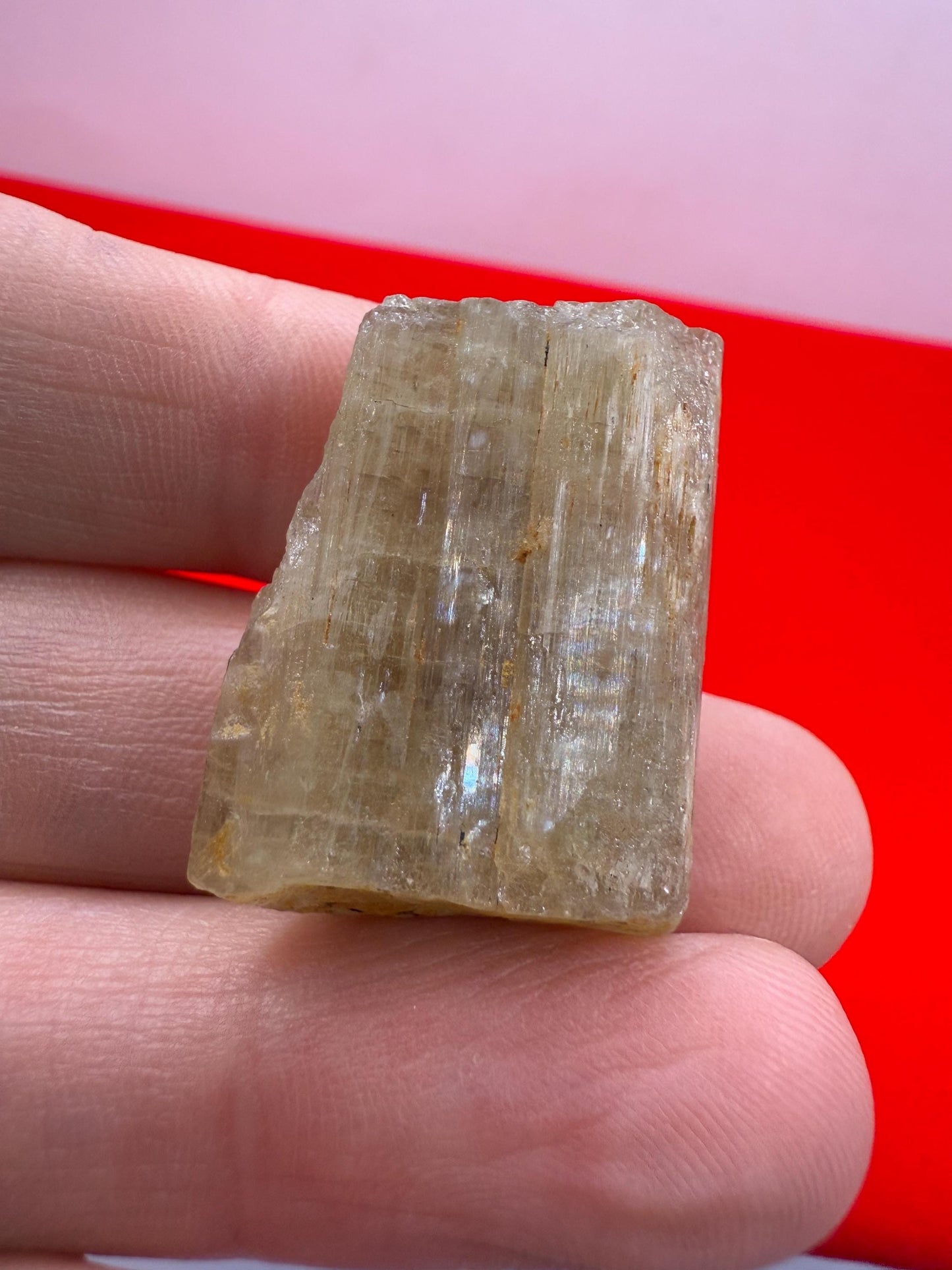 Beautiful Yellow Apatite, Imilchil Morocco, Apatite Crystal, Manifestation, Solar Plexus, Crystal Collection, 14.59 Grams/72.95 Carats