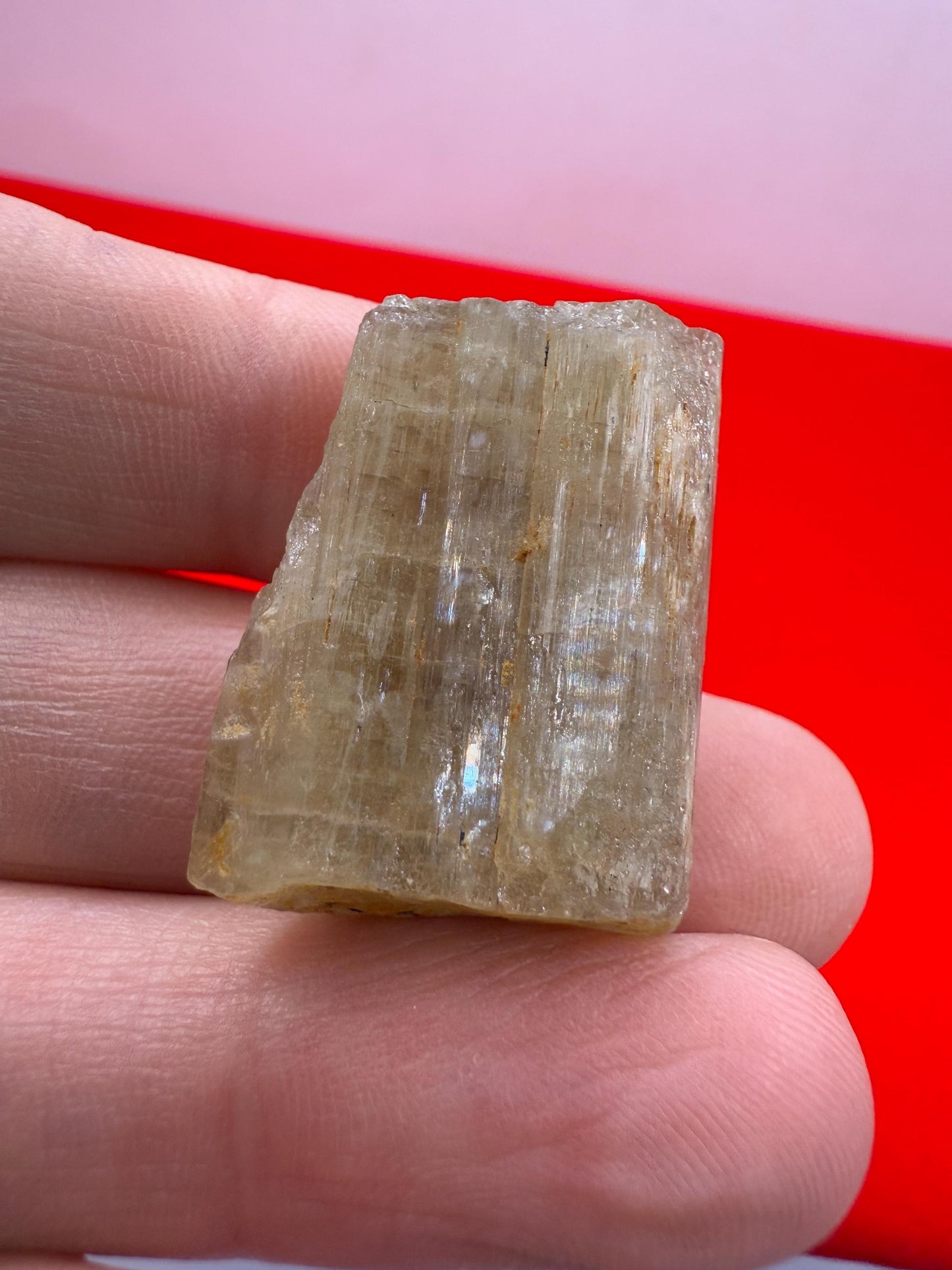 Beautiful Yellow Apatite, Imilchil Morocco, Apatite Crystal, Manifestation, Solar Plexus, Crystal Collection, 14.59 Grams/72.95 Carats