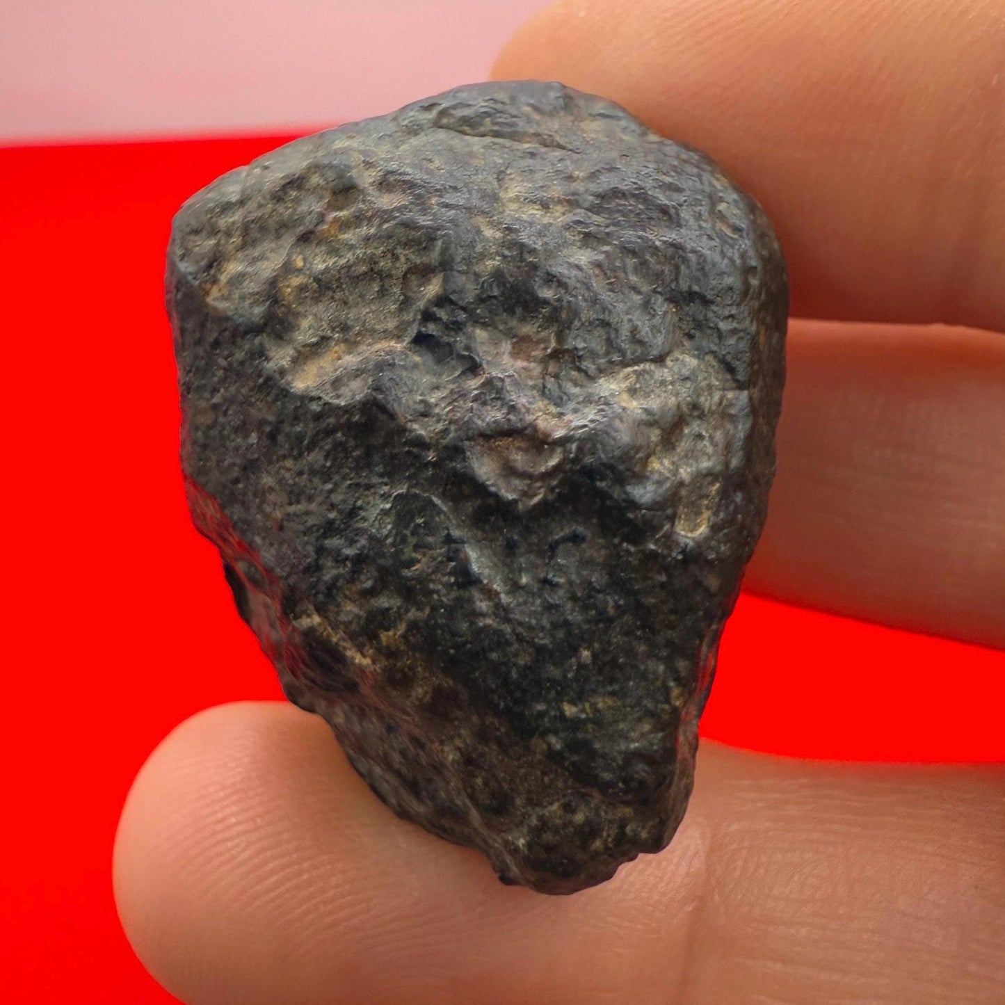 Meteorite NWA 869 Chondrite Stony Meteorite, 27.65 grams, Authentic Meteorite, Meteorite Collection, COA, Astronomy Gift, Space Gift