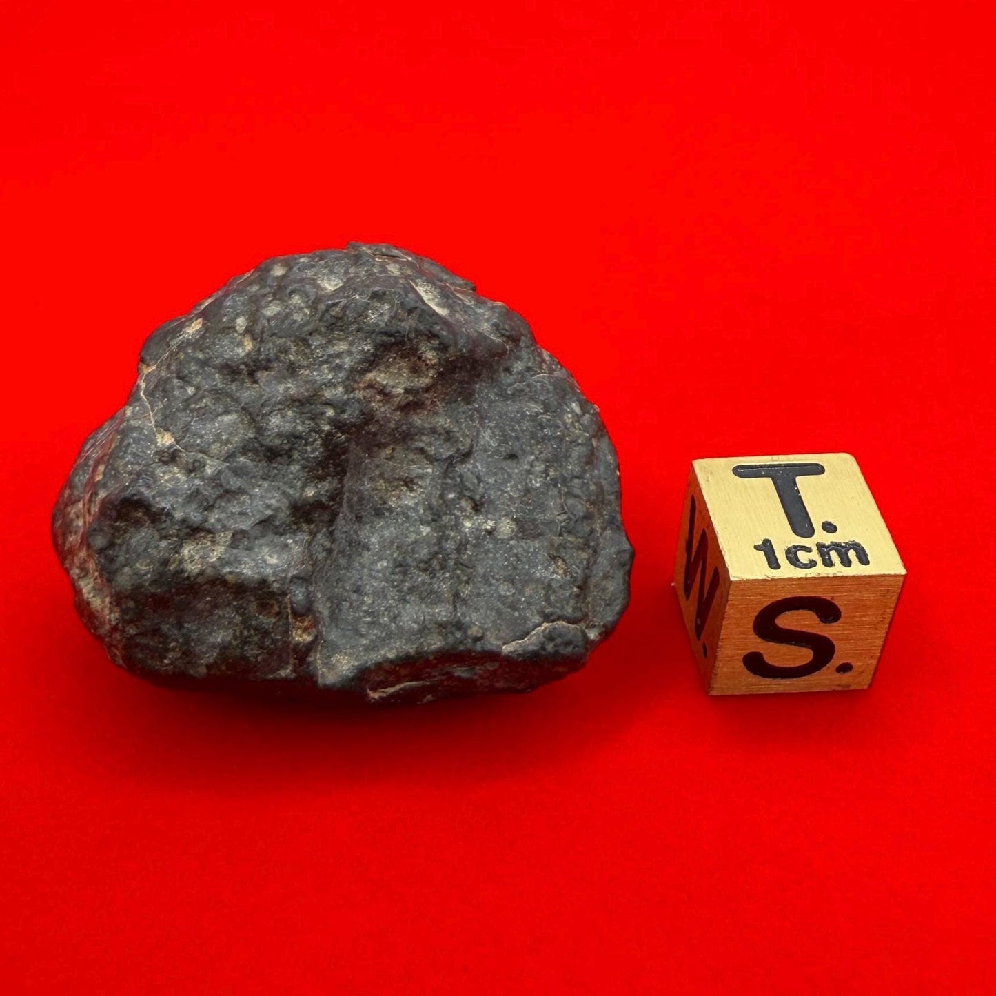 Meteorite NWA 869 Chondrite Stony Meteorite, 27.65 grams, Authentic Meteorite, Meteorite Collection, COA, Astronomy Gift, Space Gift