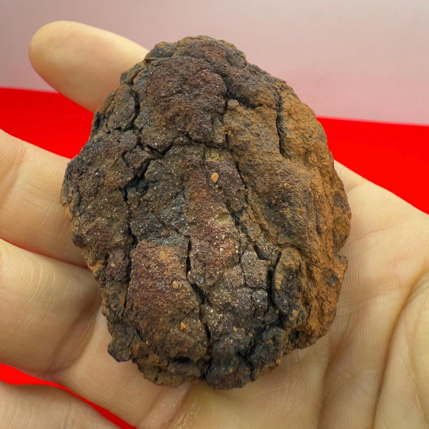 Wolf Creek Meteorite Specimen, Australia, 115.85 grams, Rare Meteorite, Iron Meteorite, Astronomy Gift, Space Gift, Australian Meteorite