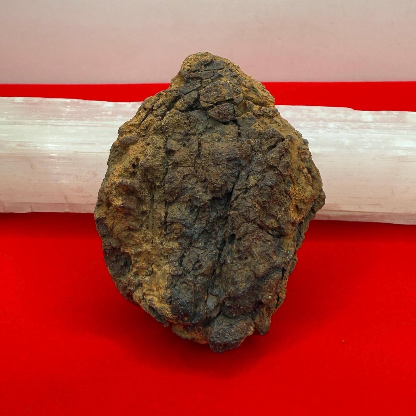 Wolf Creek Meteorite Specimen, Australia, 115.85 grams, Rare Meteorite, Iron Meteorite, Astronomy Gift, Space Gift, Australian Meteorite