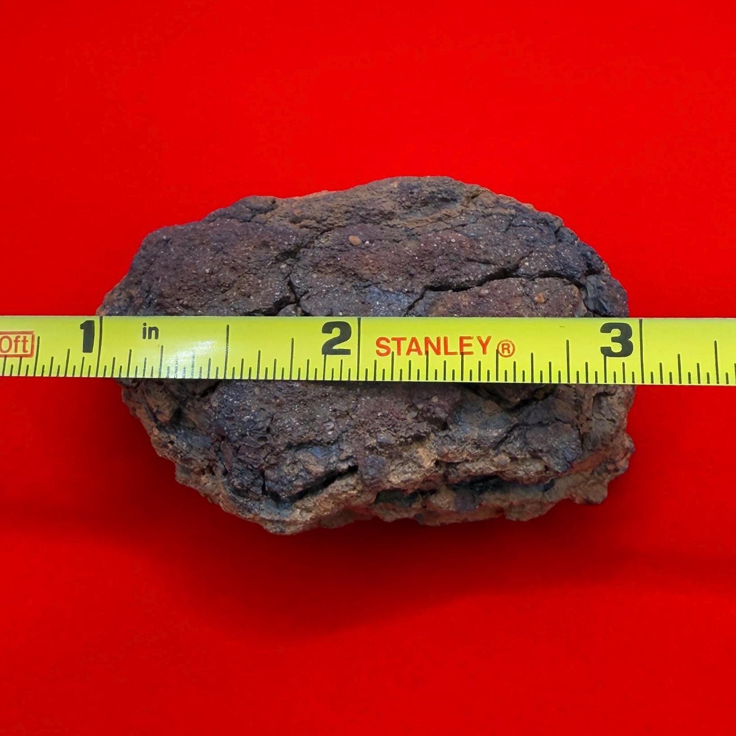 Wolf Creek Meteorite Specimen, Australia, 115.85 grams, Rare Meteorite, Iron Meteorite, Astronomy Gift, Space Gift, Australian Meteorite