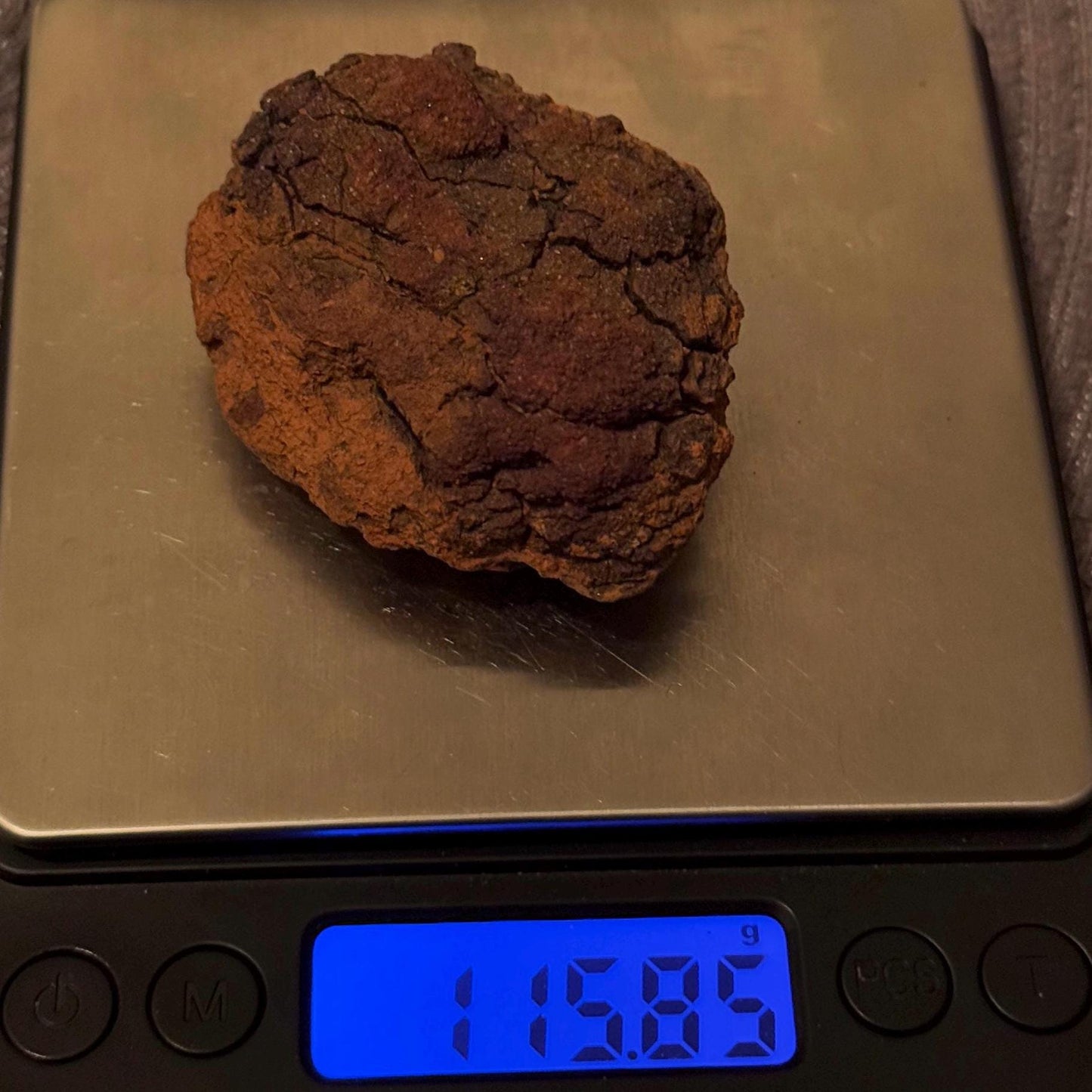 Wolf Creek Meteorite Specimen, Australia, 115.85 grams, Rare Meteorite, Iron Meteorite, Astronomy Gift, Space Gift, Australian Meteorite