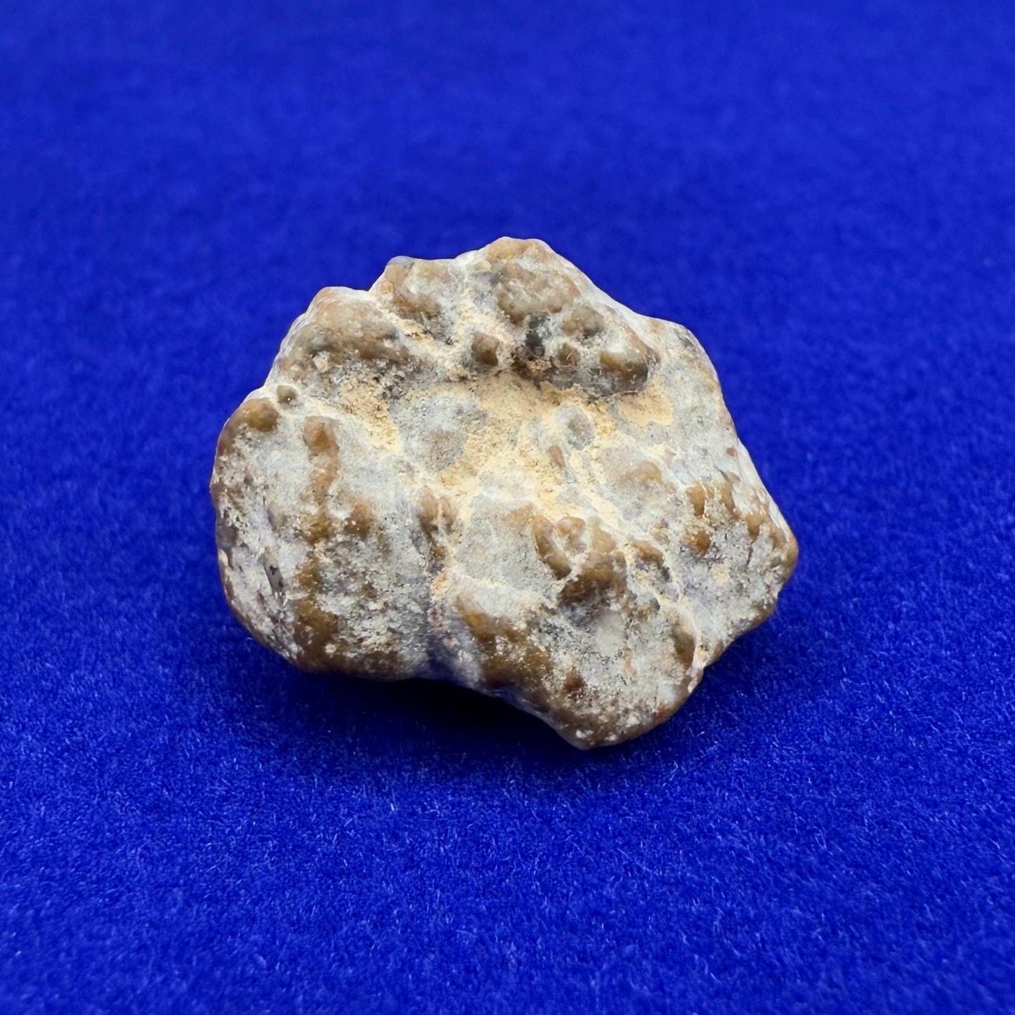 NWA 13974 Moon|Lunar Meteorite, Feldspathic Breccia, Moon Meteorite, Meteorite Collection, Lunar Feldspathic Breccia, 3.29 grams