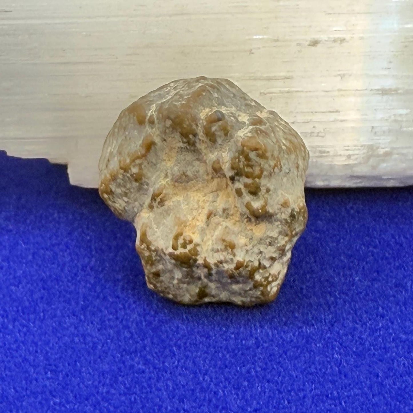NWA 13974 Moon|Lunar Meteorite, Feldspathic Breccia, Moon Meteorite, Meteorite Collection, Lunar Feldspathic Breccia, 3.29 grams