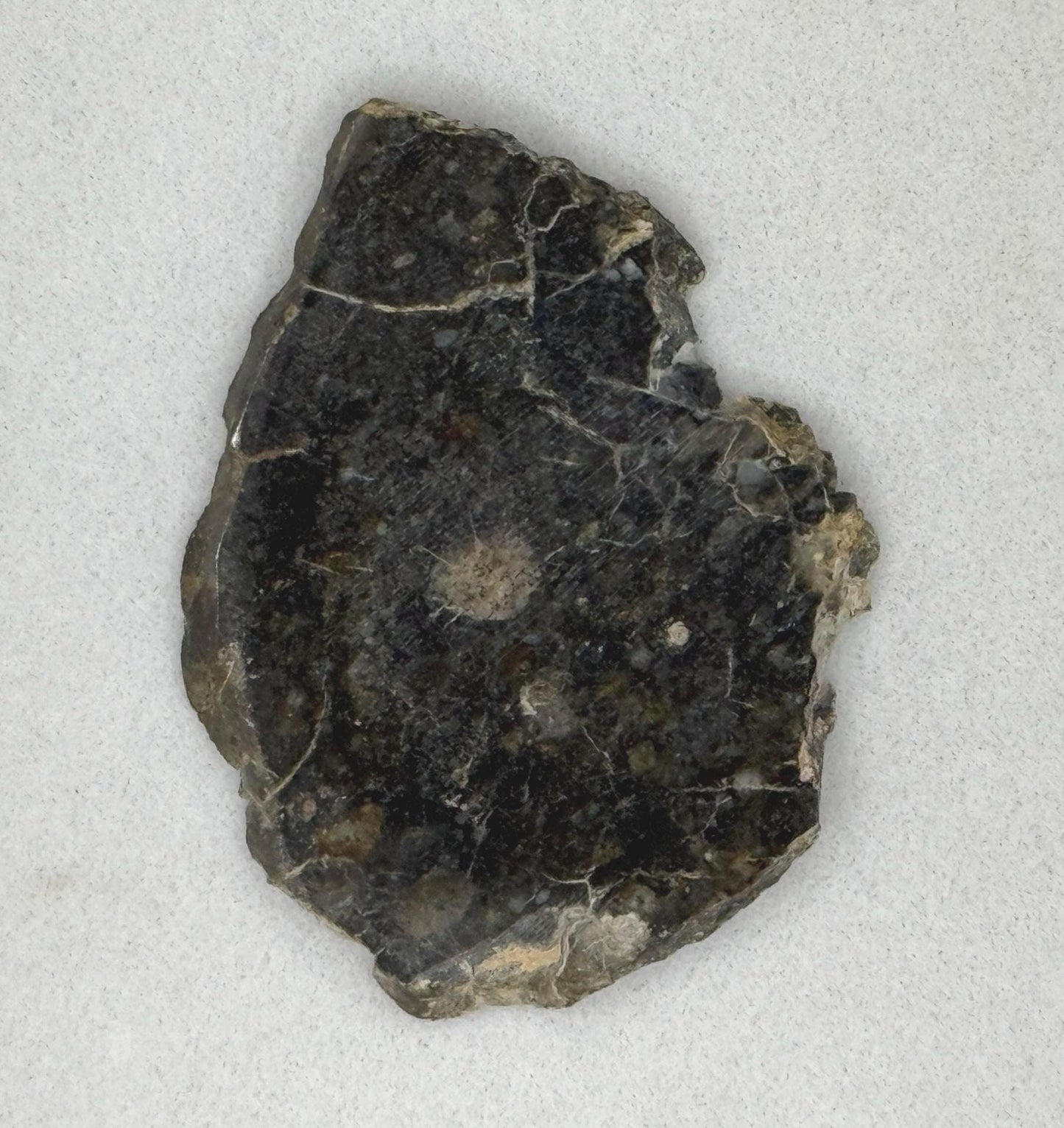 NWA 11182 Moon/Lunar Slice, Moon Rock, Moon Meteorite, Lunar Feldspathic Breccia, Meteorite Collection, Space Gift, Astronomy Gift, 5.11g