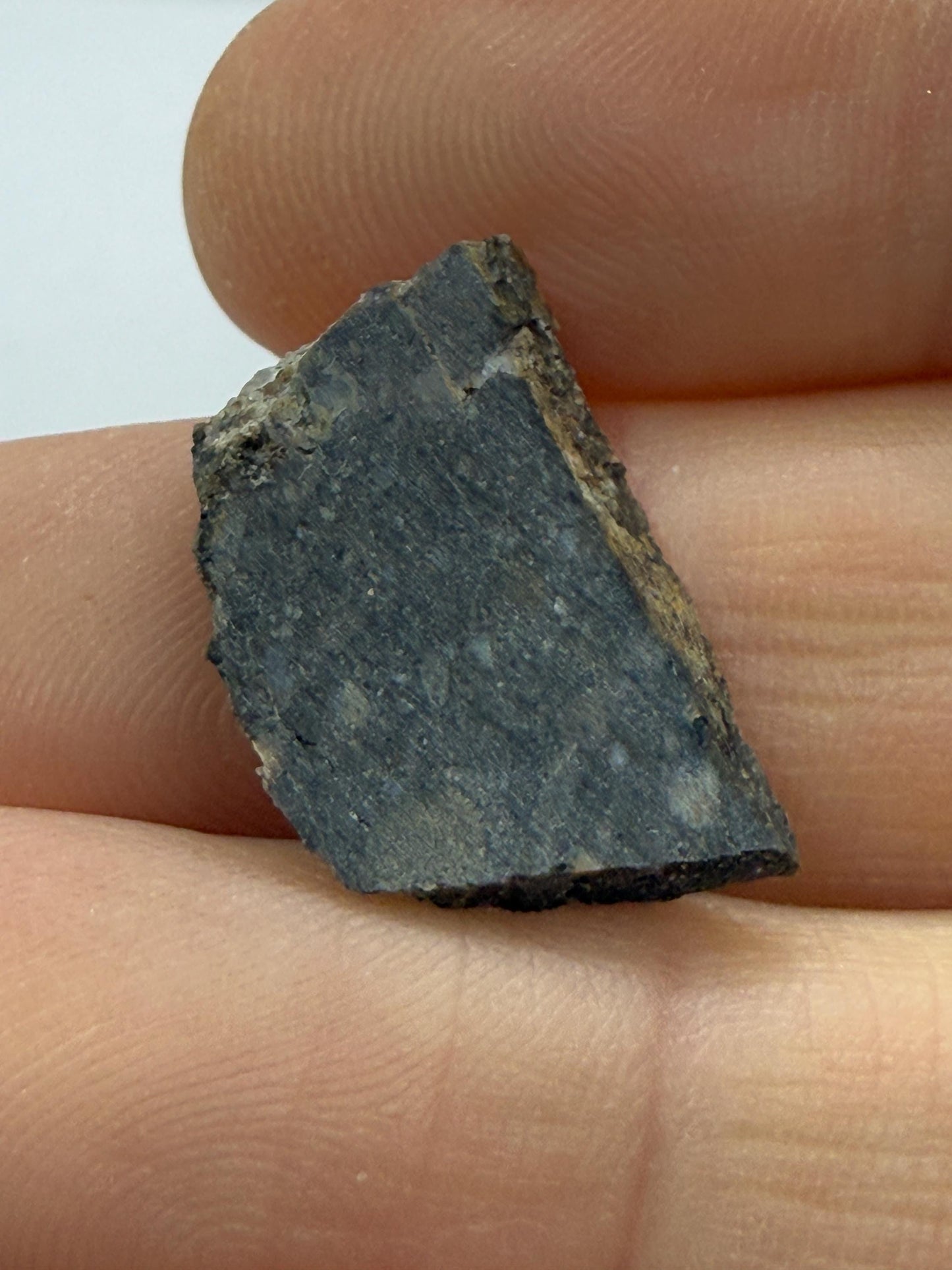 NWA 11182 Moon/Lunar Slice, Moon Rock, Moon Meteorite, Lunar Feldspathic Breccia, Meteorite Collection, Space Gift, Astronomy Gift, 1.55g
