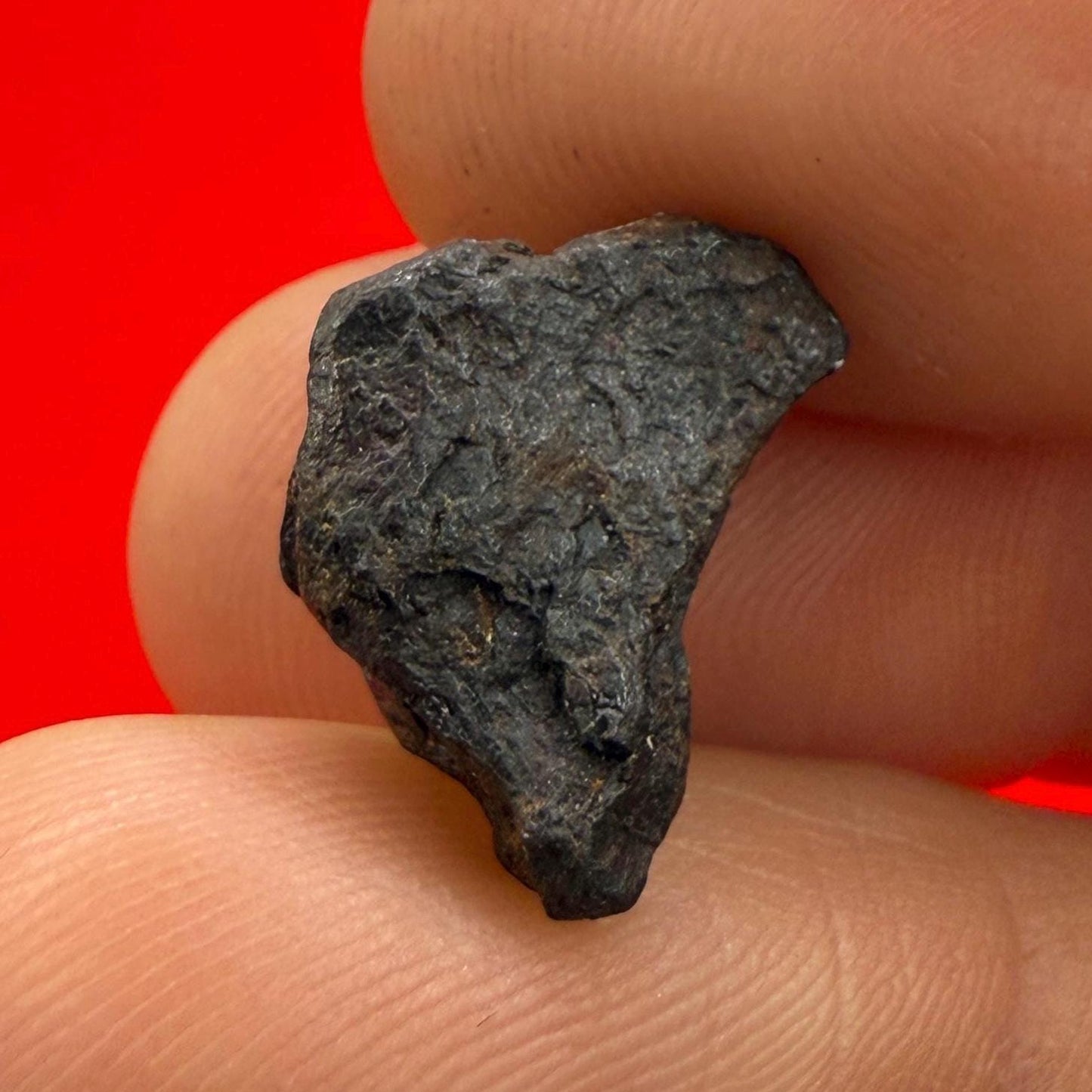 Canyon Diablo Meteorite Specimen, Arizona, 3.52 grams, Rare Meteorite, Iron Meteorite, Astronomy Gift, Space Gift, Energy Work, Meteorite