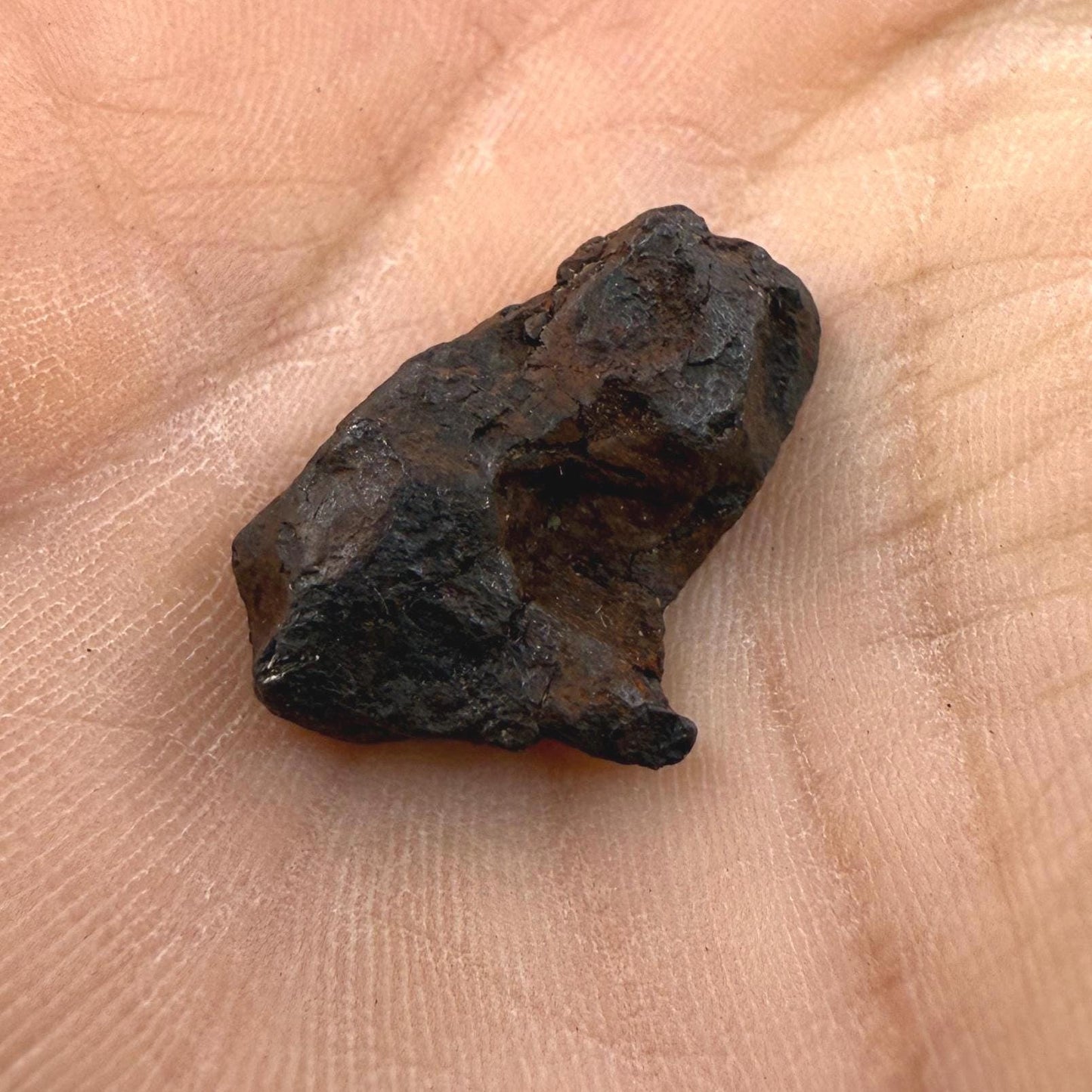 Canyon Diablo Meteorite Specimen, Arizona, 3.58 grams, Rare Meteorite, Iron Meteorite, Astronomy Gift, Space Gift, Energy Work, Meteorite