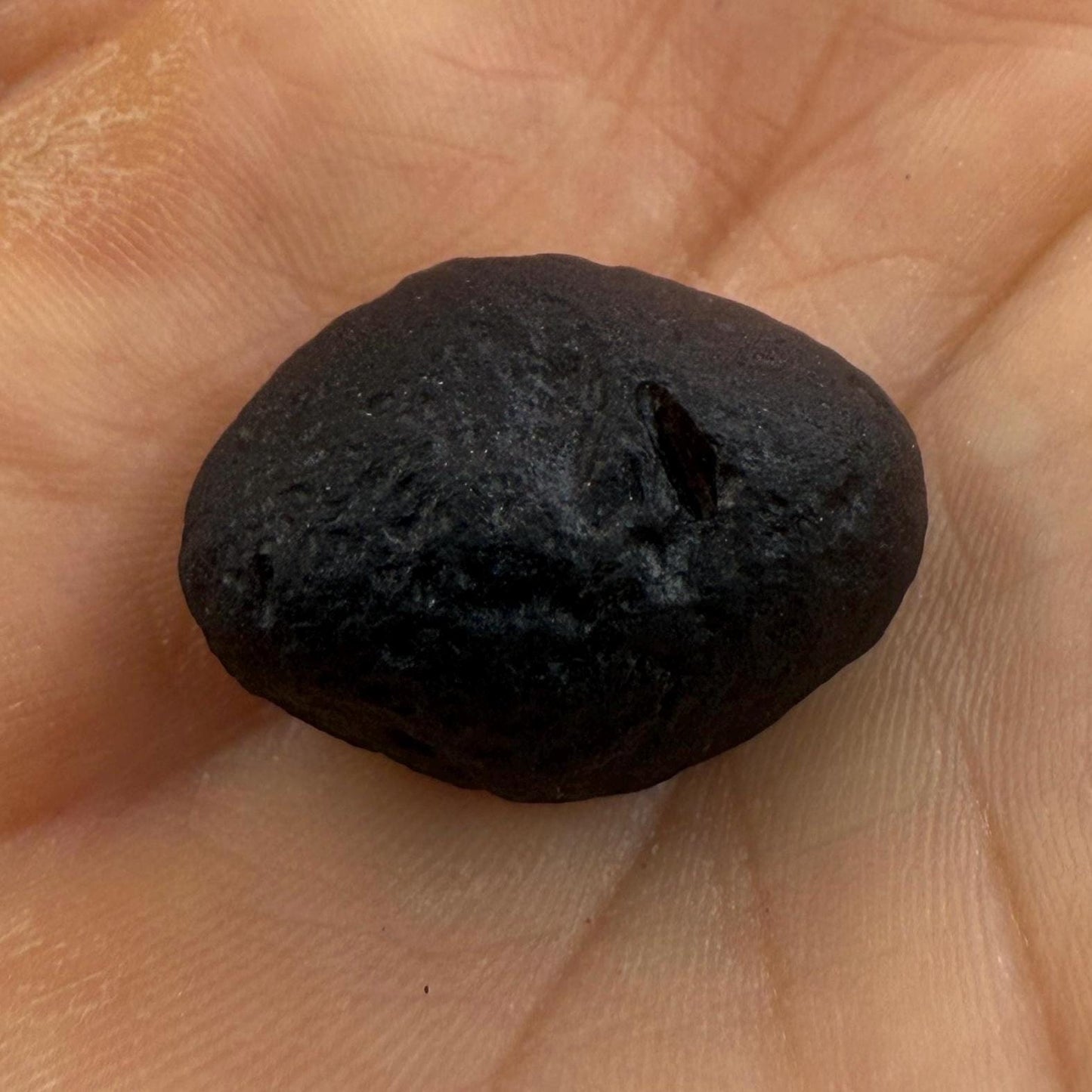 Saffordite Specimen, Cintamani, Rare and Beautiful, Shamanic, Arizona, Pseudotektite, Obsidian, Metaphysical, 5.33 grams