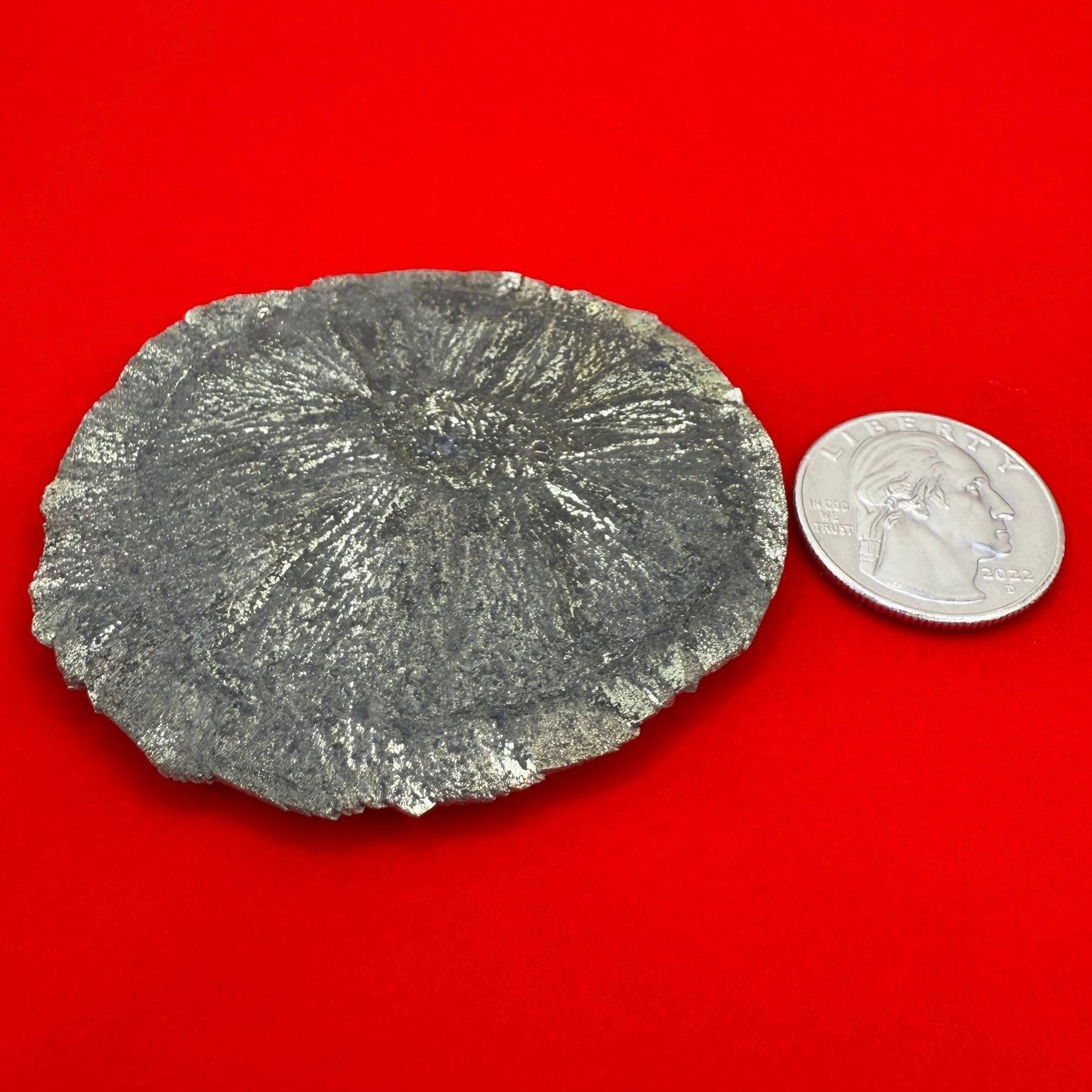 Sparkling Pyrite Sun, Pyrite Dollar, Pyrite, Rock Collection, Sparta Illinois, Radiant Sun, Abundance, Creativity, Energy Work, 75.90 Grams