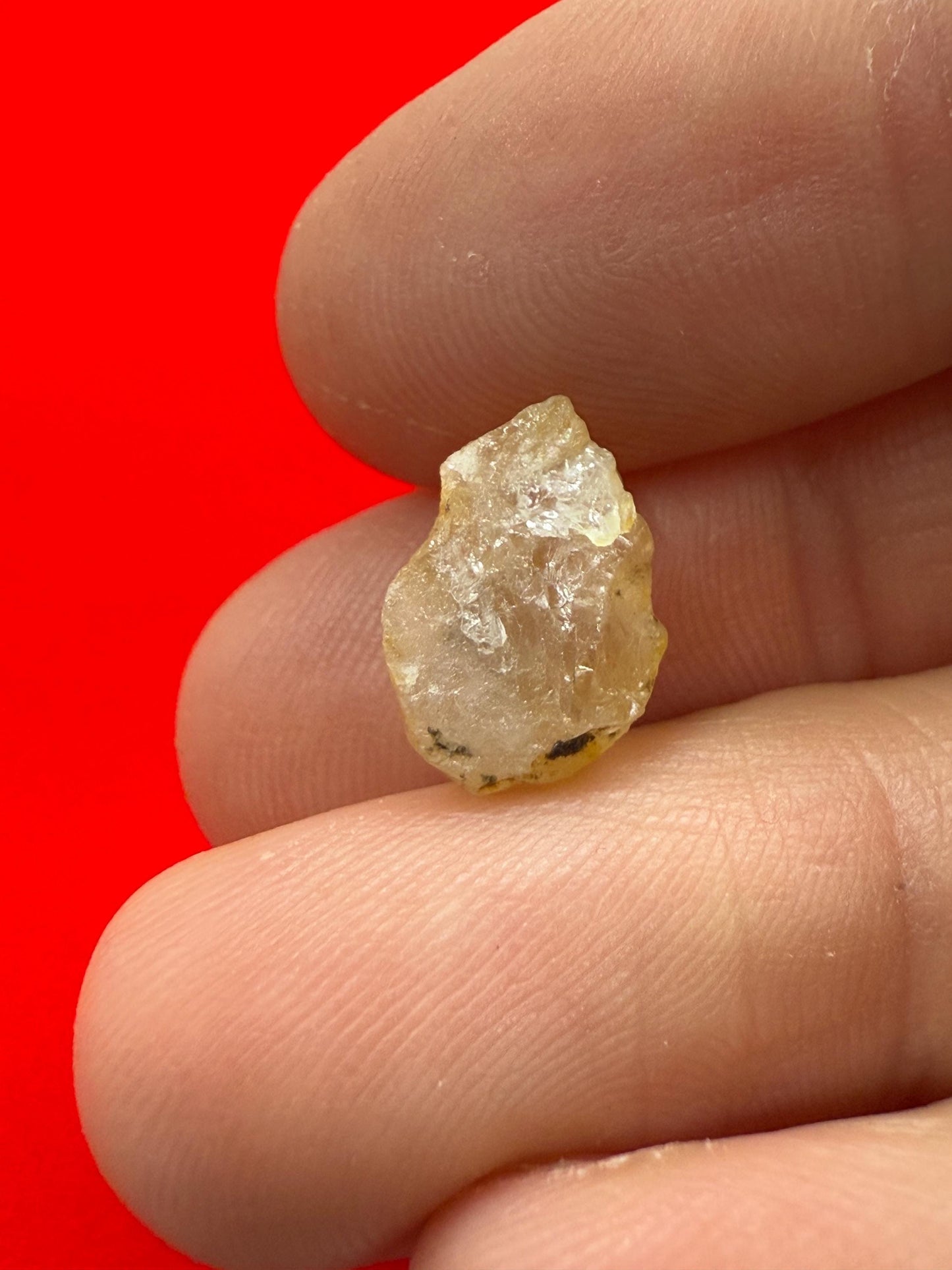 Rare Golden Brazilian Phenacite Crystal 0.94g, 4.7 carats, High-Vibration Energy Stone, Spiritual Growth, Transformation, and Meditation