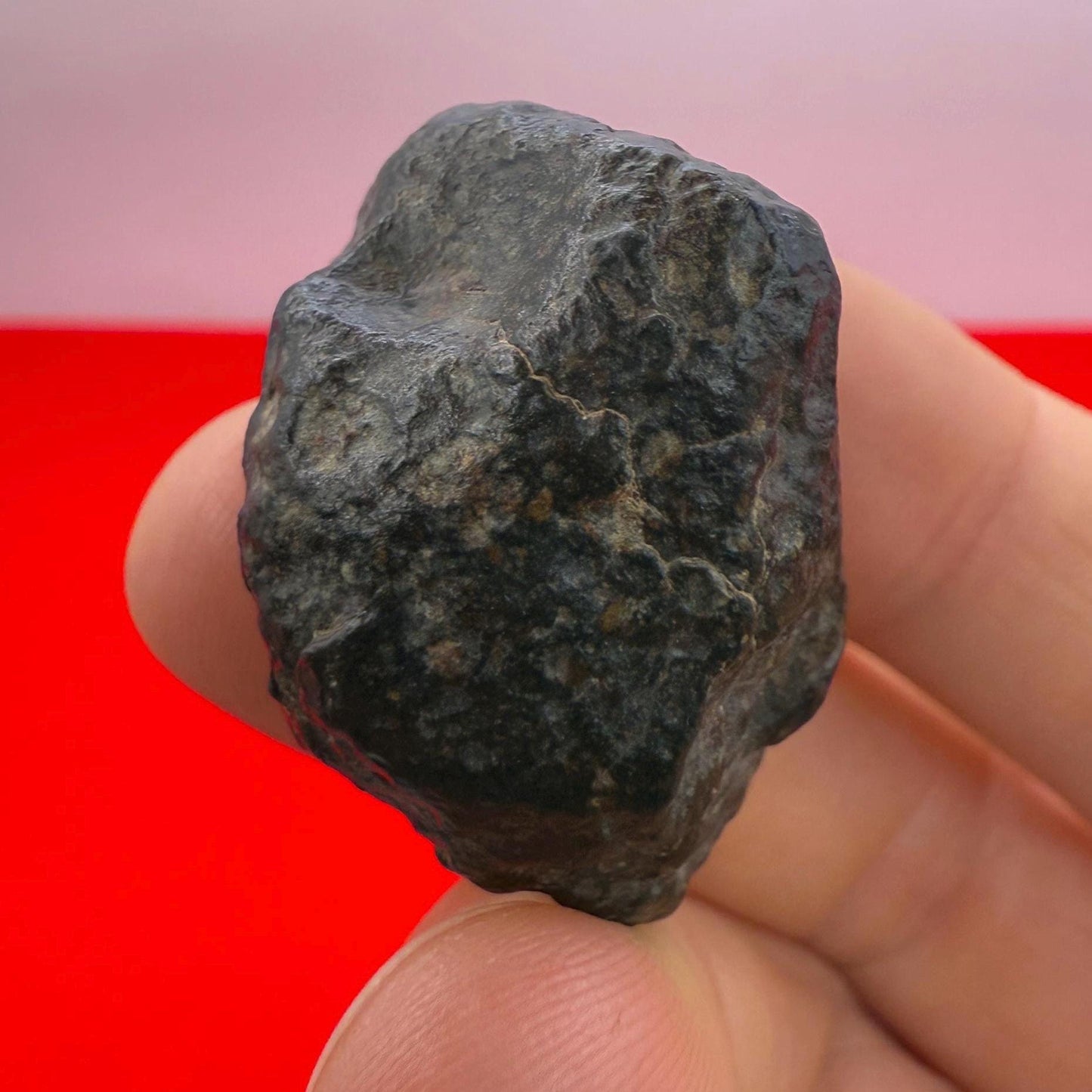 Meteorite NWA 869 Chondrite Stony Meteorite, 27.65 grams, Authentic Meteorite, Meteorite Collection, COA, Astronomy Gift, Space Gift