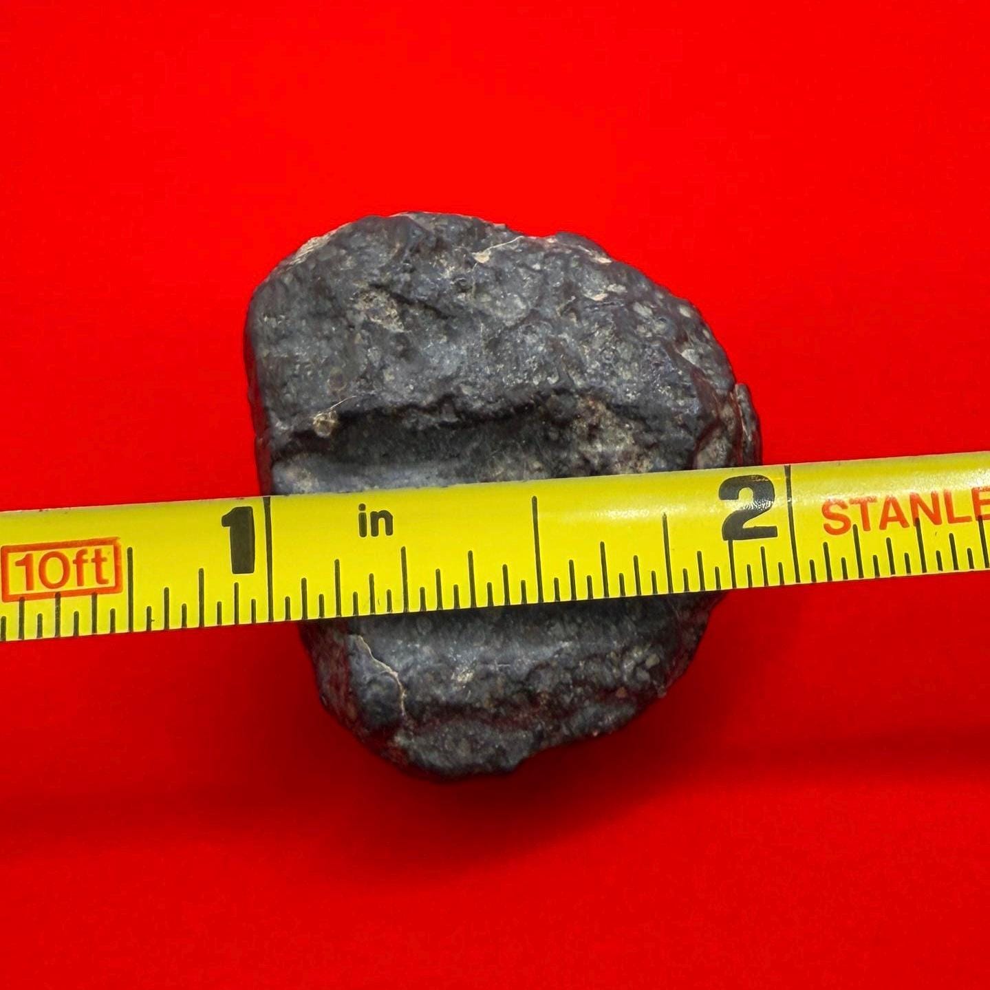Meteorite NWA 869 Chondrite Stony Meteorite, 27.65 grams, Authentic Meteorite, Meteorite Collection, COA, Astronomy Gift, Space Gift