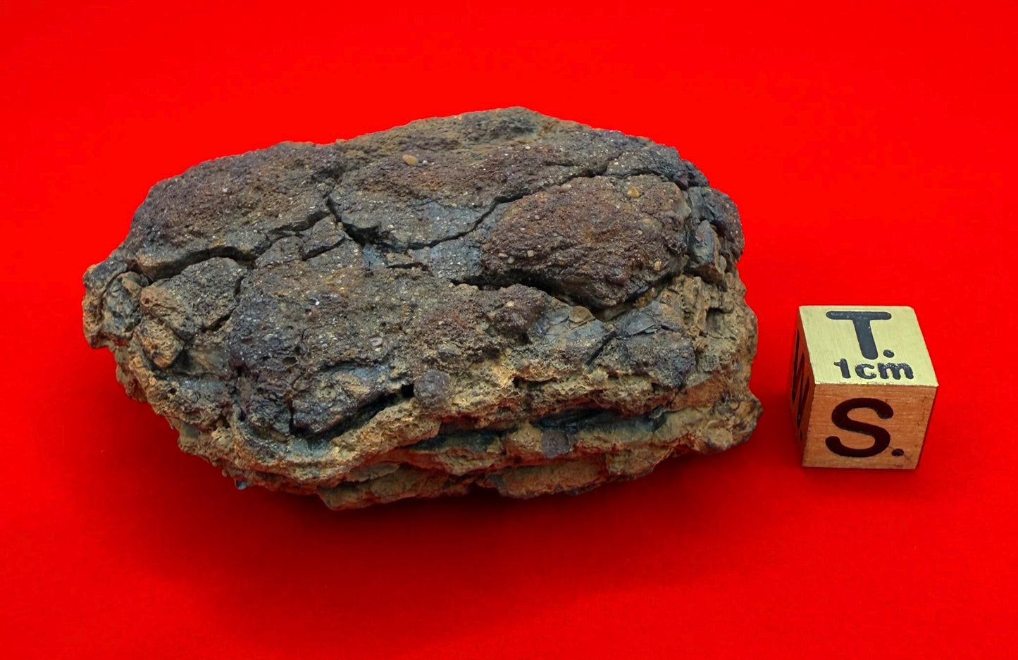 Wolf Creek Meteorite Specimen, Australia, 115.85 grams, Rare Meteorite, Iron Meteorite, Astronomy Gift, Space Gift, Australian Meteorite