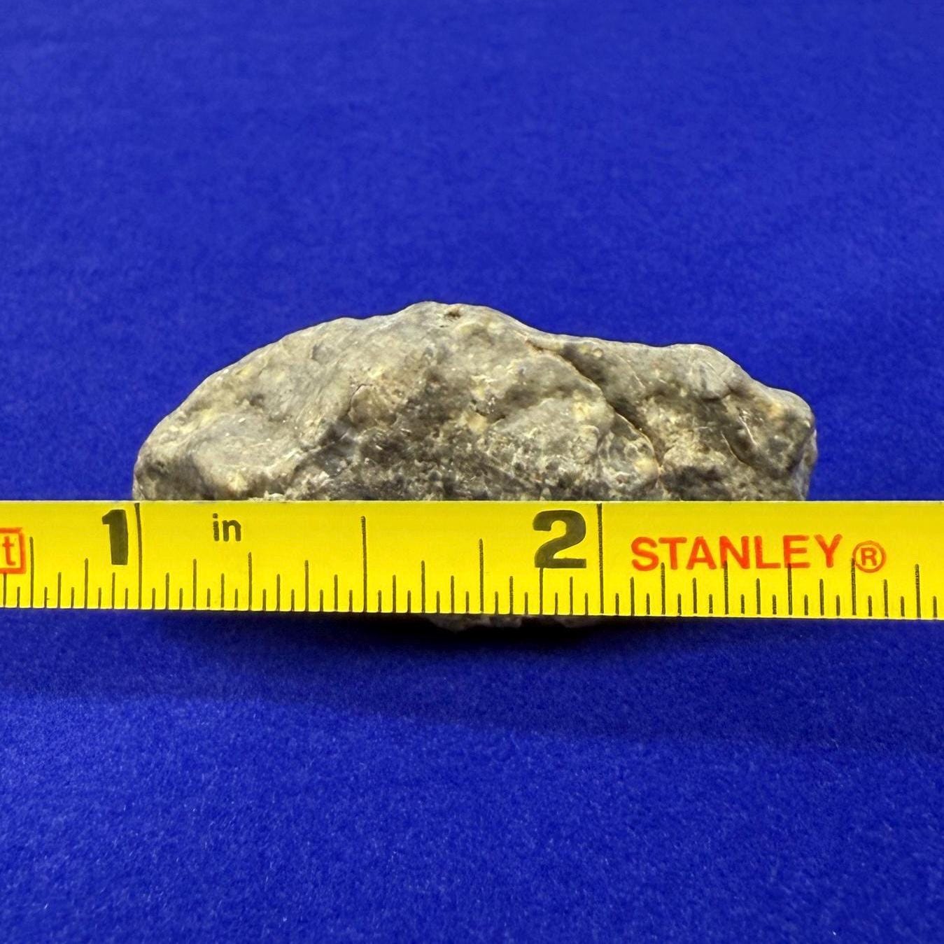 Tisserlitine Moon|Lunar Meteorite, Moon Meteorite, Meteorite Collection, Lunar Feldspathic Breccia, Space Gift, Astronomy, 13.34 grams