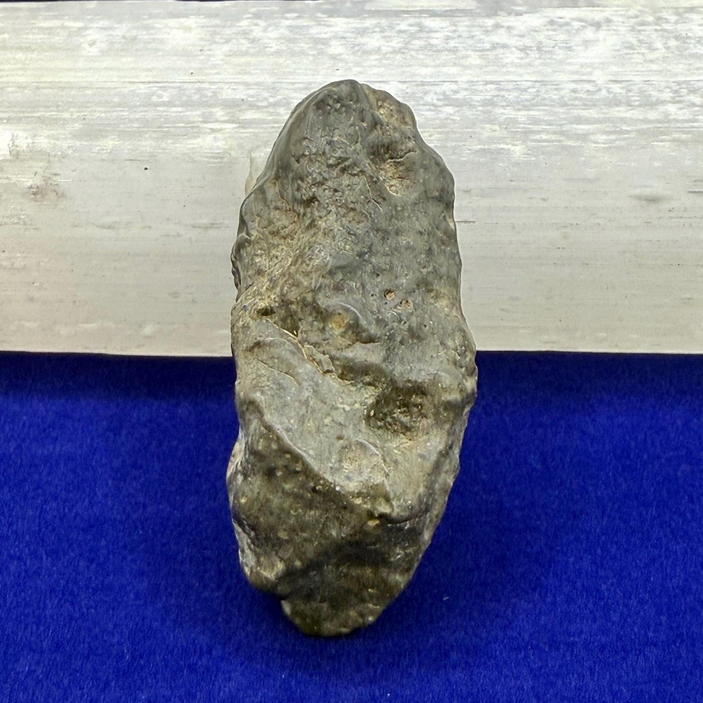 Tisserlitine Moon|Lunar Meteorite, Moon Meteorite, Meteorite Collection, Lunar Feldspathic Breccia, Space Gift, Astronomy, 13.34 grams