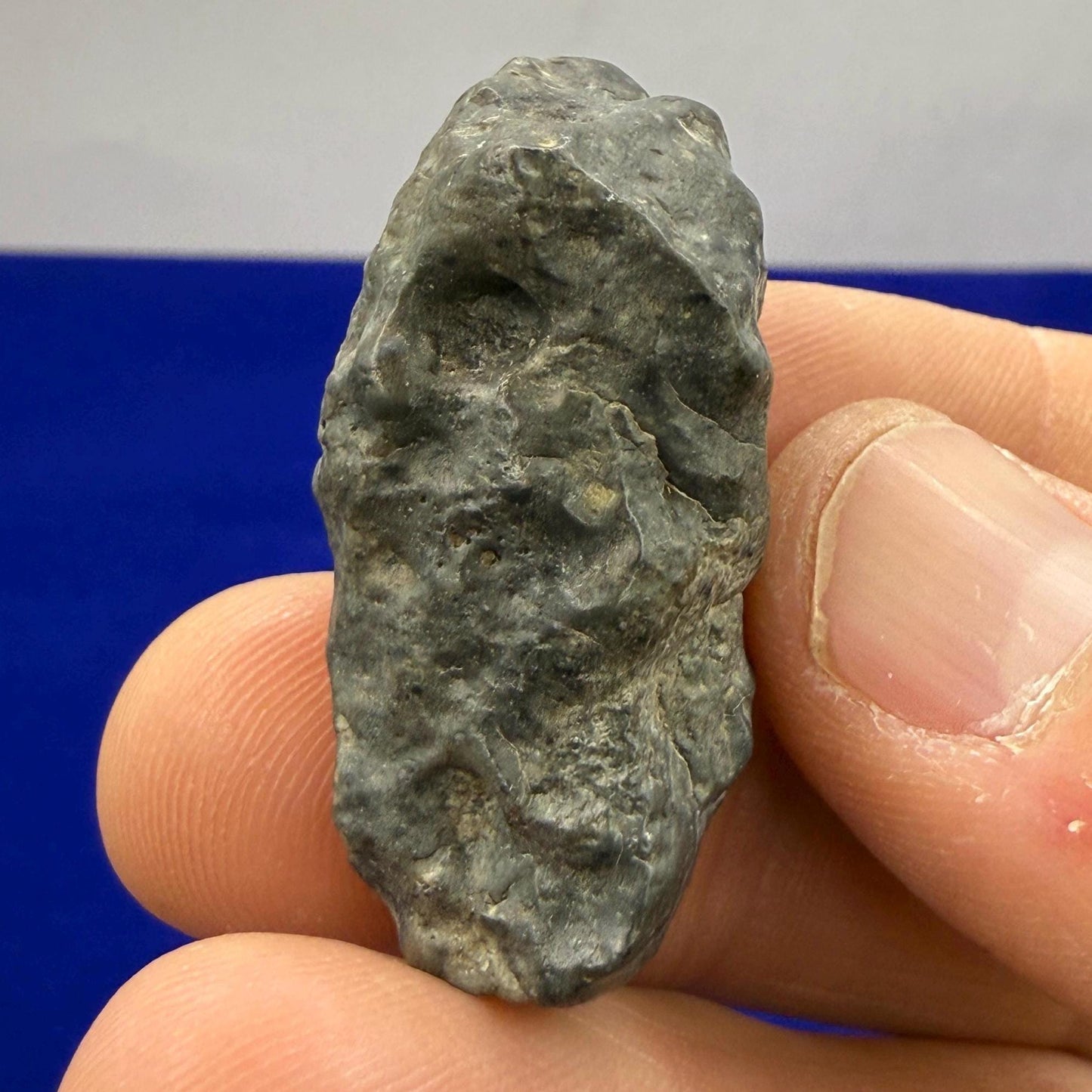 Tisserlitine Moon|Lunar Meteorite, Moon Meteorite, Meteorite Collection, Lunar Feldspathic Breccia, Space Gift, Astronomy, 13.34 grams