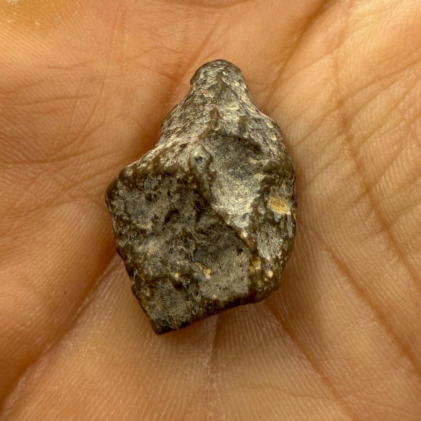 NWA 13974 Moon|Lunar Meteorite, Feldspathic Breccia, Moon Meteorite, Meteorite Collection, Lunar Feldspathic Breccia, 4.29 grams