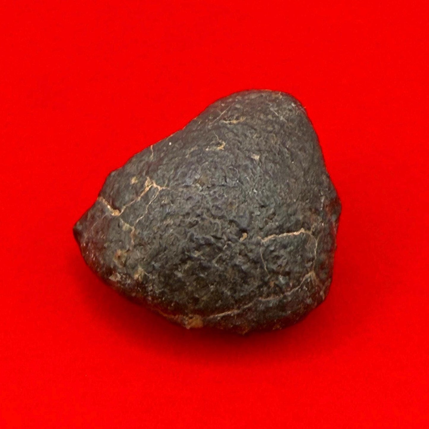 Meteorite NWA 869 Chondrite Stony Meteorite, 5.46 grams, Authentic Meteorite, Authentic Meteorite, COA, Astronomy Gift, Space Gift