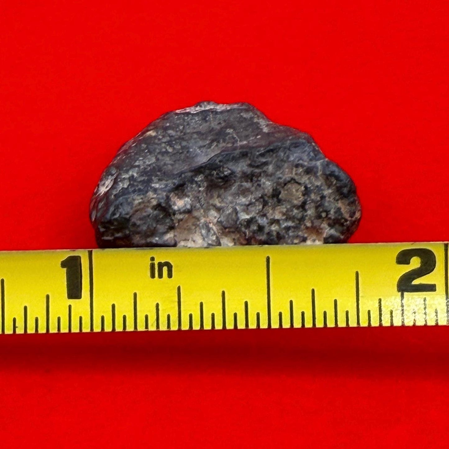 Meteorite NWA 869 Chondrite Stony Meteorite, 5.46 grams, Authentic Meteorite, Authentic Meteorite, COA, Astronomy Gift, Space Gift