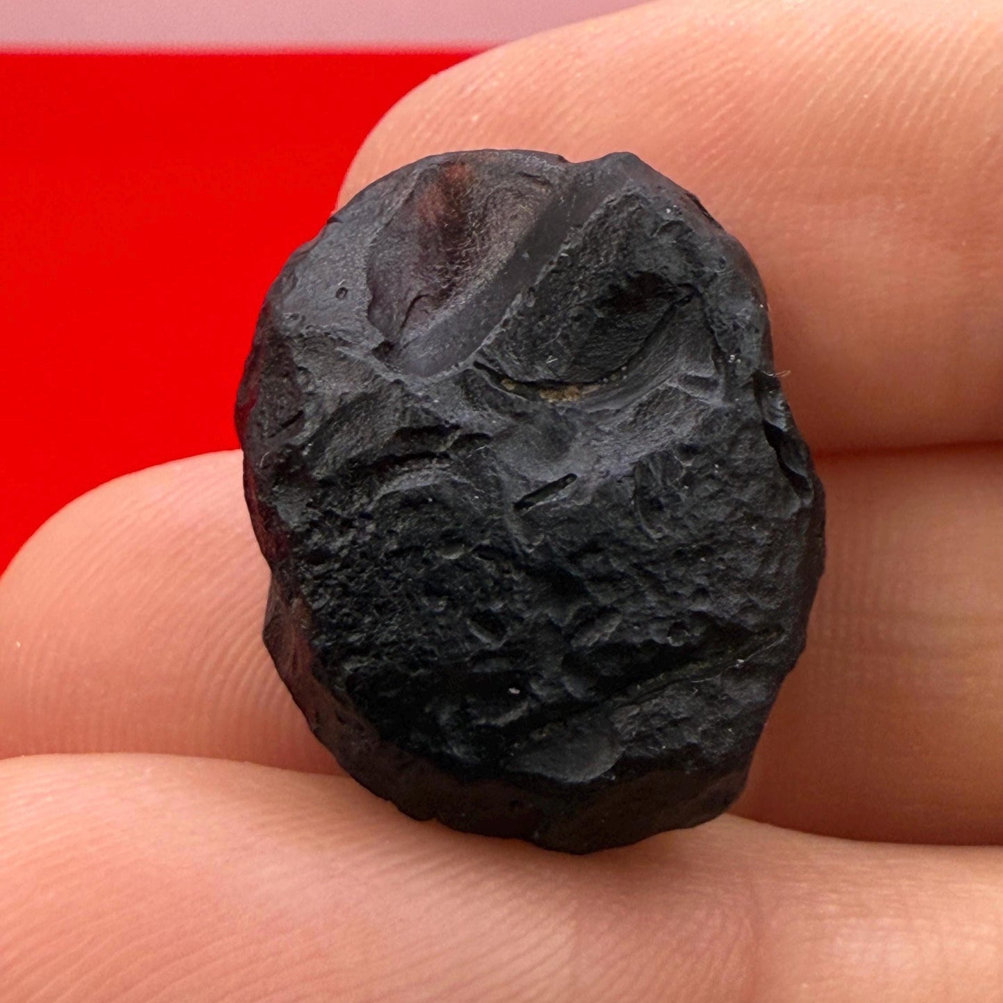 Saffordite Specimen, Cintamani, Rare and Beautiful, Shamanic, Arizona, Pseudotektite, Obsidian, Metaphysical, 5.32 grams