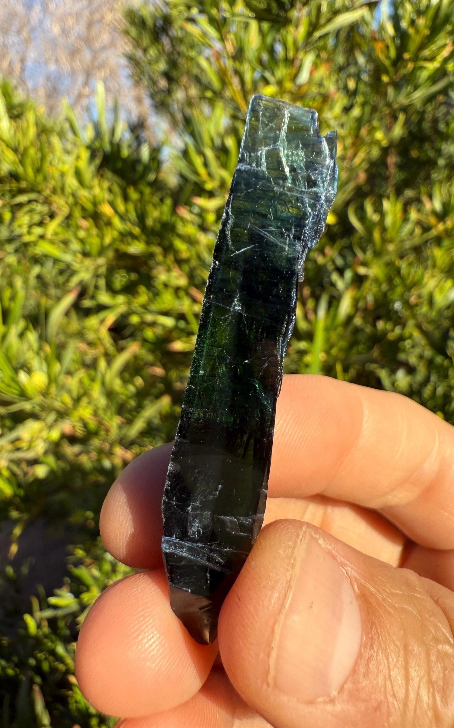 Rare Vivianite Crystal, Vivianite, Vivianite, Brazilian Vivianite, Reiki Energy, Crystal Collection, Reiki, 7.11 grams| 35.55 carats