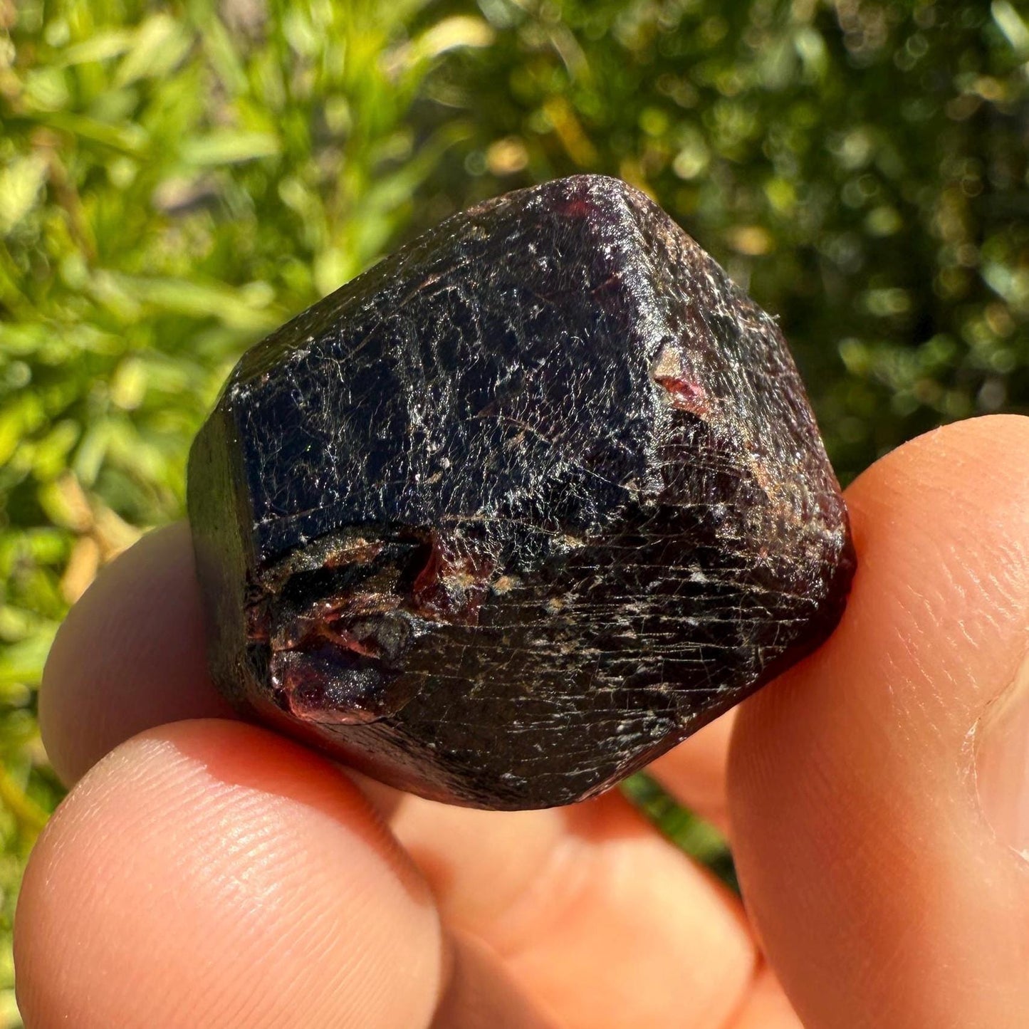 Almandine Garnet, Garnet, Morocco, Natural Garnet, Authentic, Manifestation, Protection, Rock Collection, Dodecahedron, 31.38 grams
