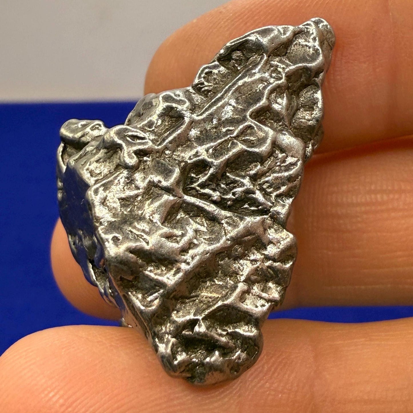 Meteorite Specimen Campo del Cielo 33.22 grams, Iron Meteorite, Astronomy Gift, Space, Moving Piece Meteorite, Space Gift, Space Gift, COA