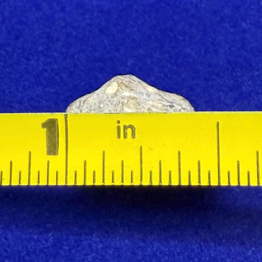 Moon|Lunar Meteorite Pendant, NWA 13974, Feldspathic Breccia, Moon Meteorite, Meteorite Collection, Lunar Feldspathic Breccia, 1.45 grams