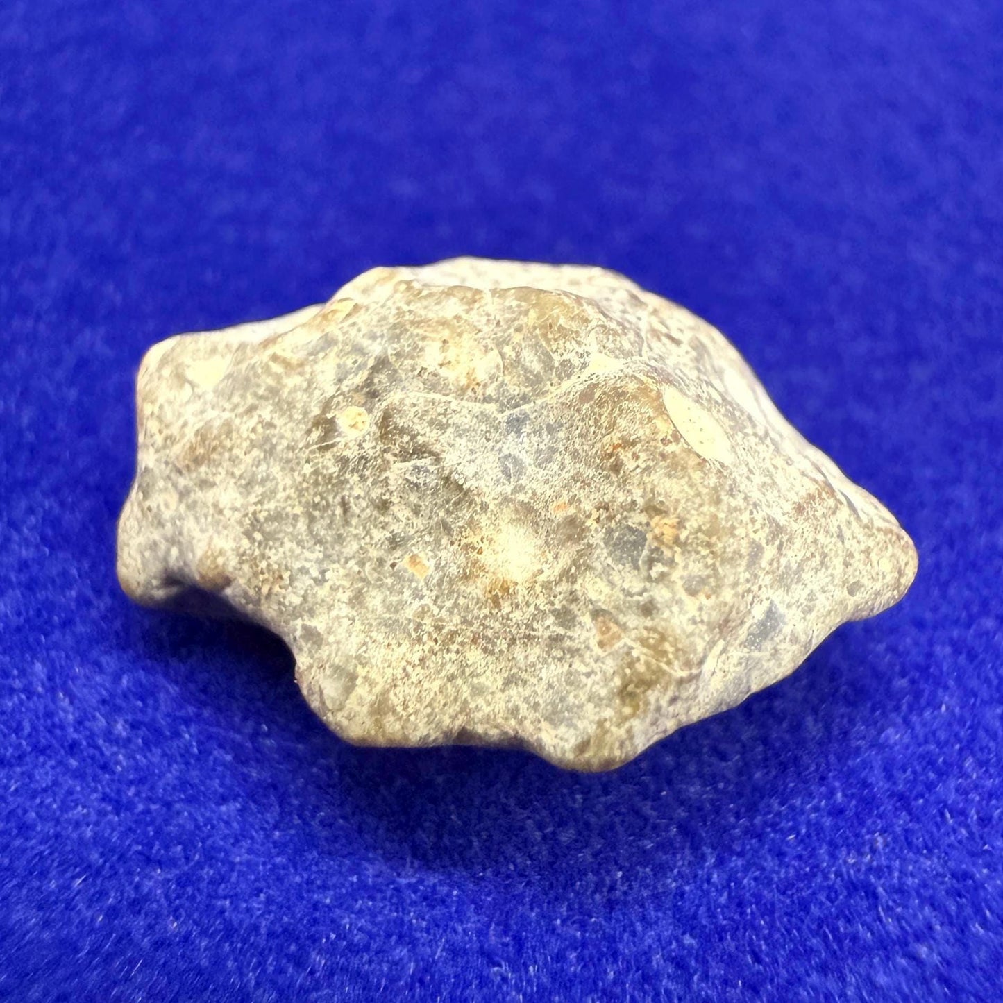Moon|Lunar Meteorite Pendant, NWA 13974, Feldspathic Breccia, Moon Meteorite, Meteorite Collection, Lunar Feldspathic Breccia, 1.45 grams