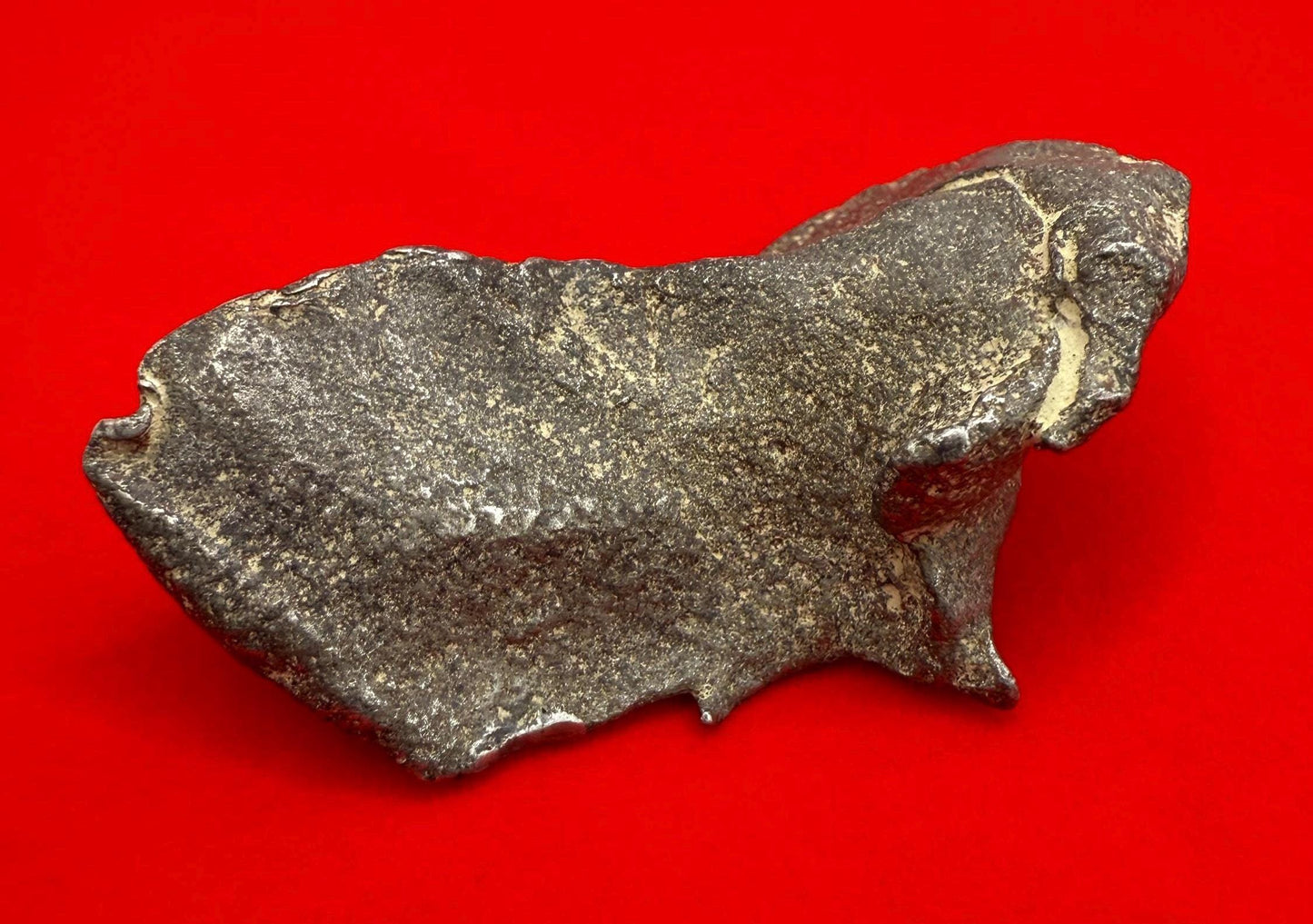 Unique Iron Meteorite Specimen Gebel Kamil, 92.00 grams, Astronomy Gift, Space Gift, Iron Meteorite, Egypt, Meteorite Collection, Space