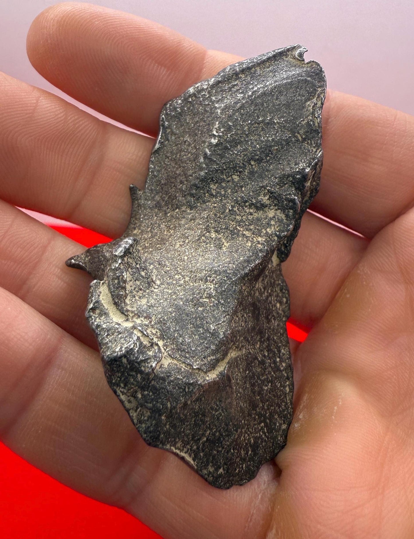 Unique Iron Meteorite Specimen Gebel Kamil, 92.00 grams, Astronomy Gift, Space Gift, Iron Meteorite, Egypt, Meteorite Collection, Space