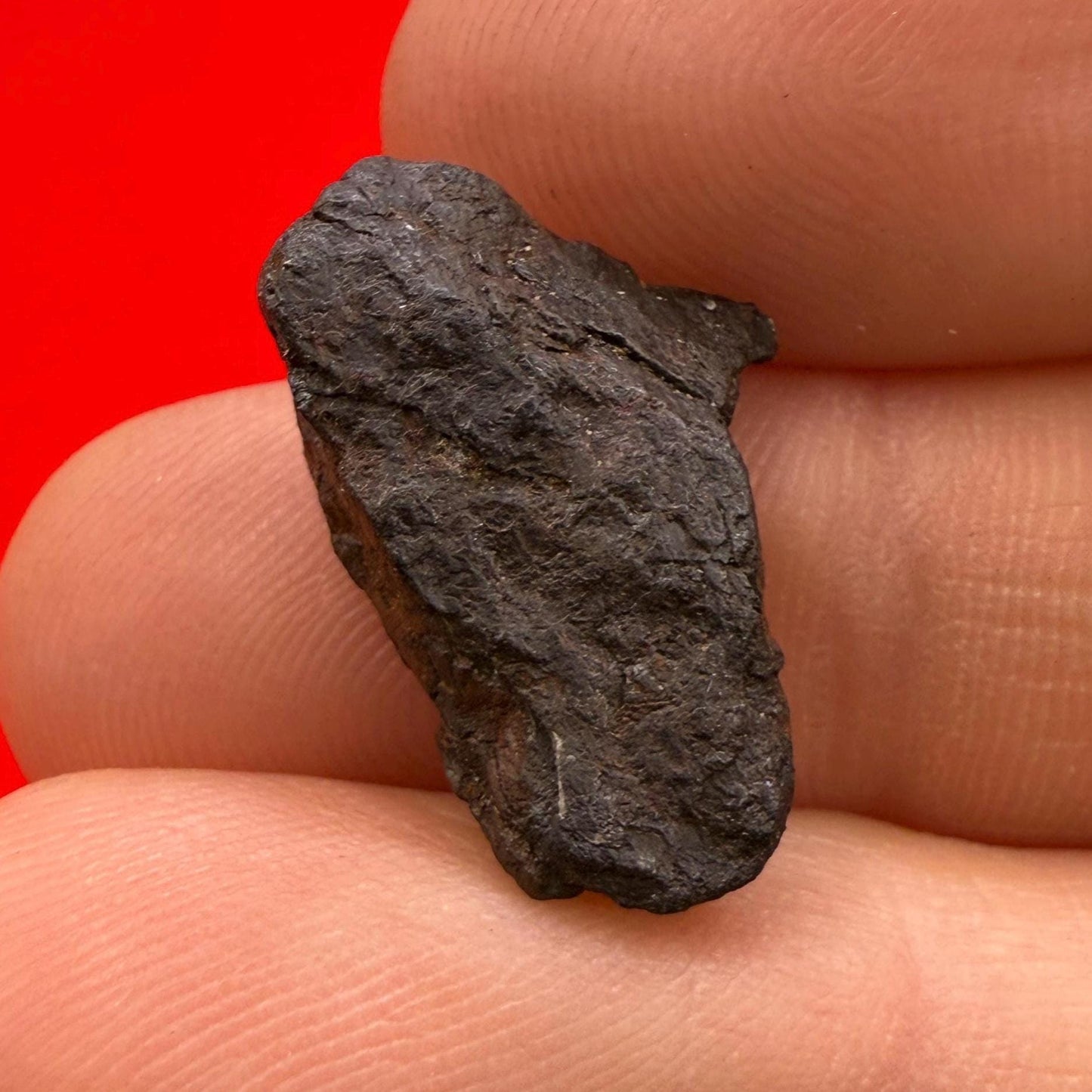 Canyon Diablo Meteorite Specimen, Arizona, 3.58 grams, Rare Meteorite, Iron Meteorite, Astronomy Gift, Space Gift, Energy Work, Meteorite