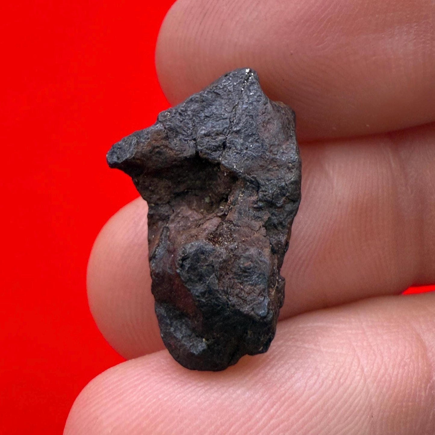 Canyon Diablo Meteorite Specimen, Arizona, 3.58 grams, Rare Meteorite, Iron Meteorite, Astronomy Gift, Space Gift, Energy Work, Meteorite