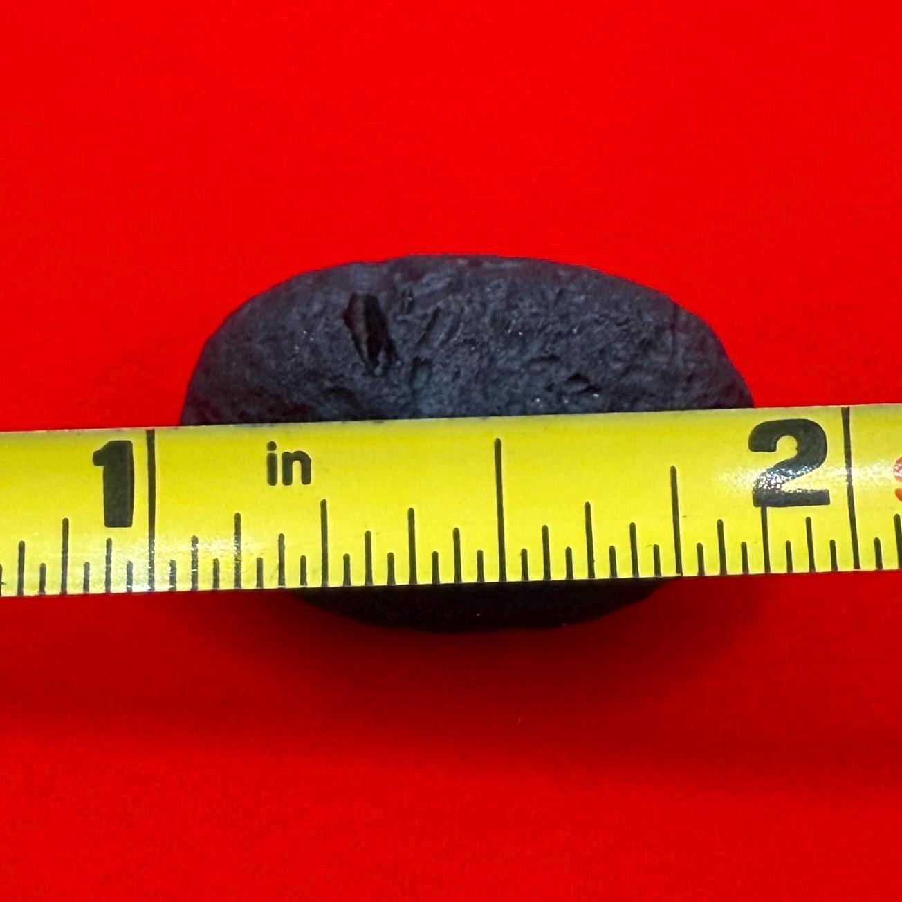 Saffordite Specimen, Cintamani, Rare and Beautiful, Shamanic, Arizona, Pseudotektite, Obsidian, Metaphysical, 5.33 grams