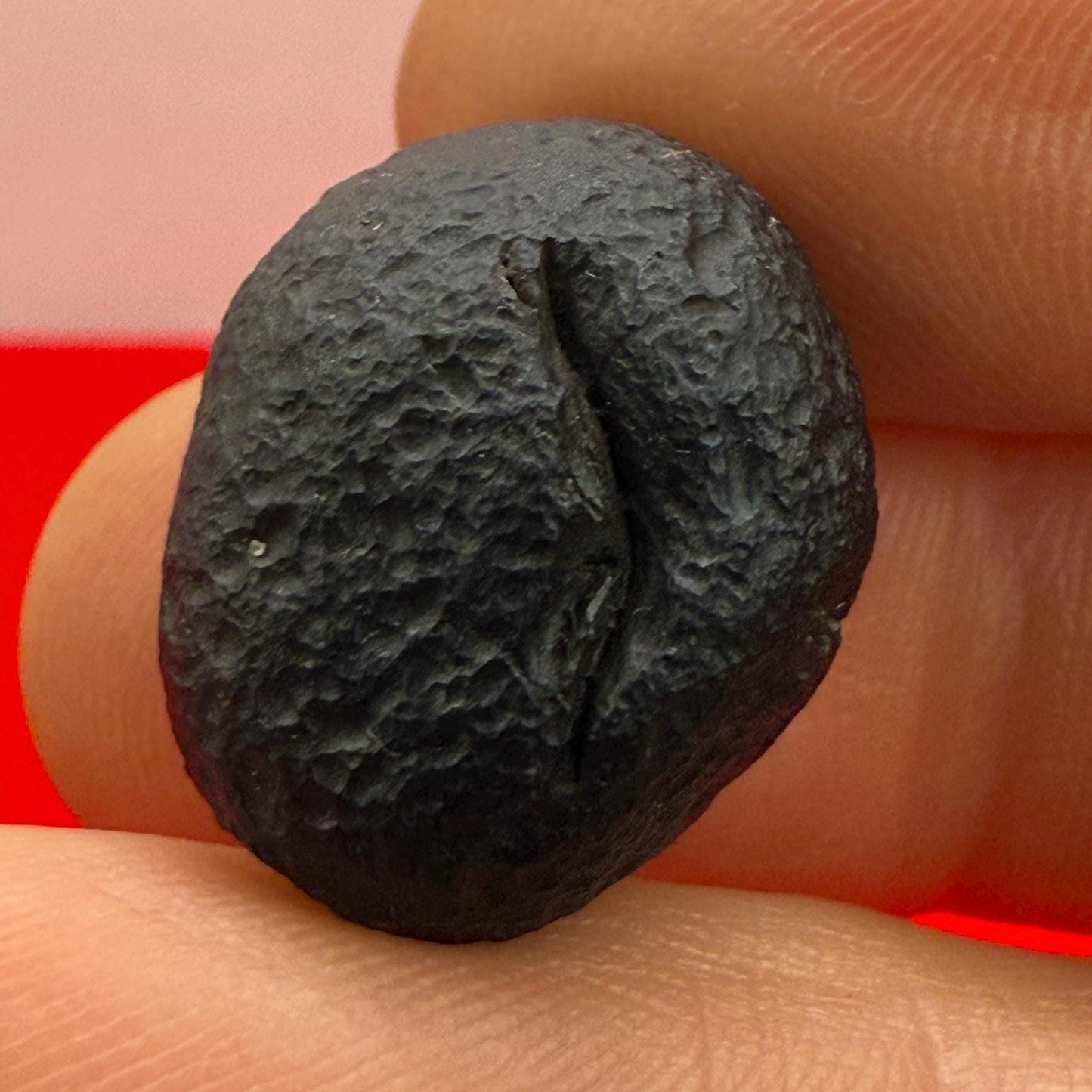 Saffordite Specimen, Cintamani, Rare and Beautiful, Shamanic, Arizona, Pseudotektite, Obsidian, Metaphysical, 5.47 grams