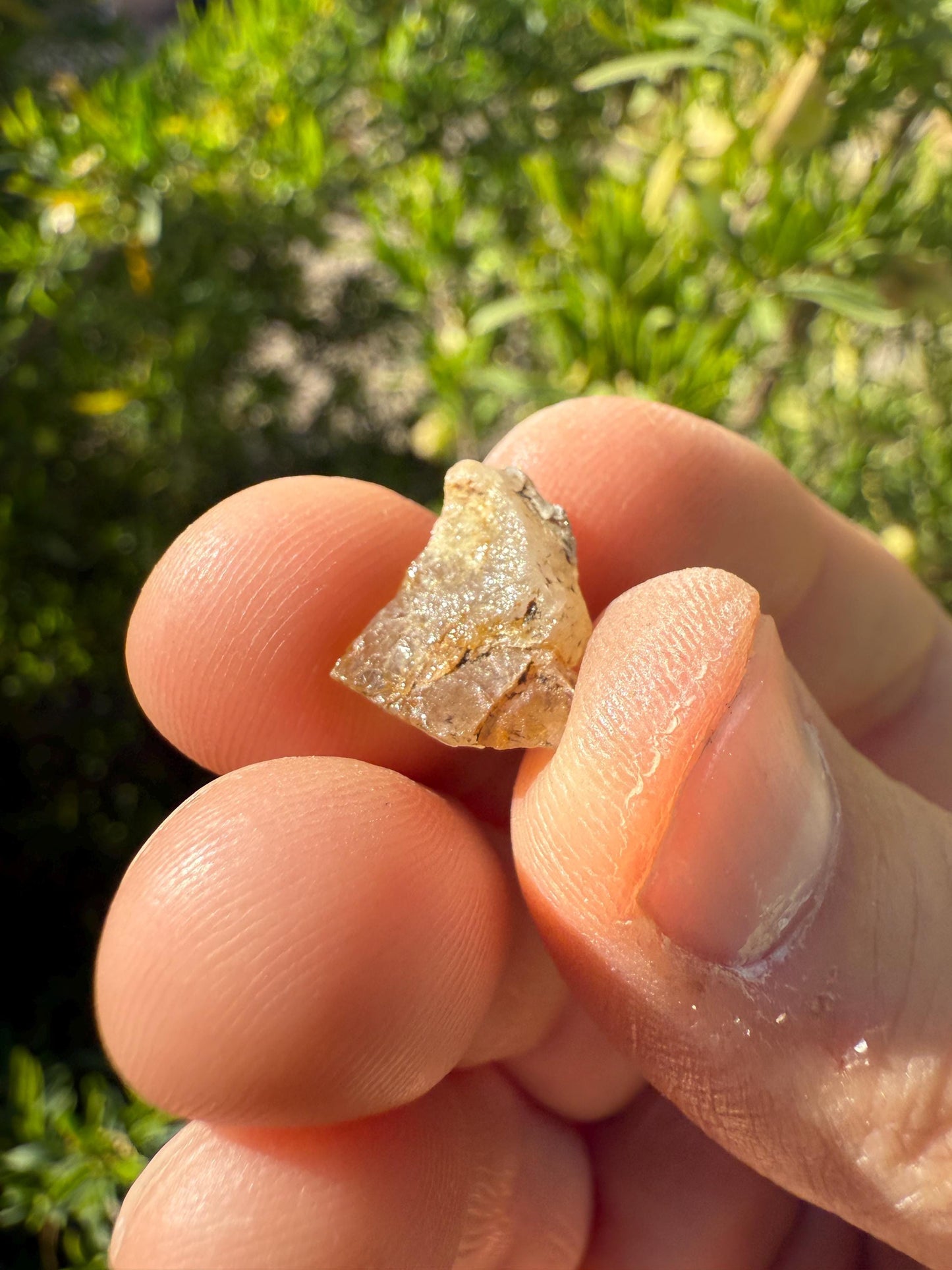 Rare Golden Brazilian Phenacite Crystal 1.08g, 5.4 carats, High-Vibration Energy Stone, Spiritual Growth, Transformation, and Meditation