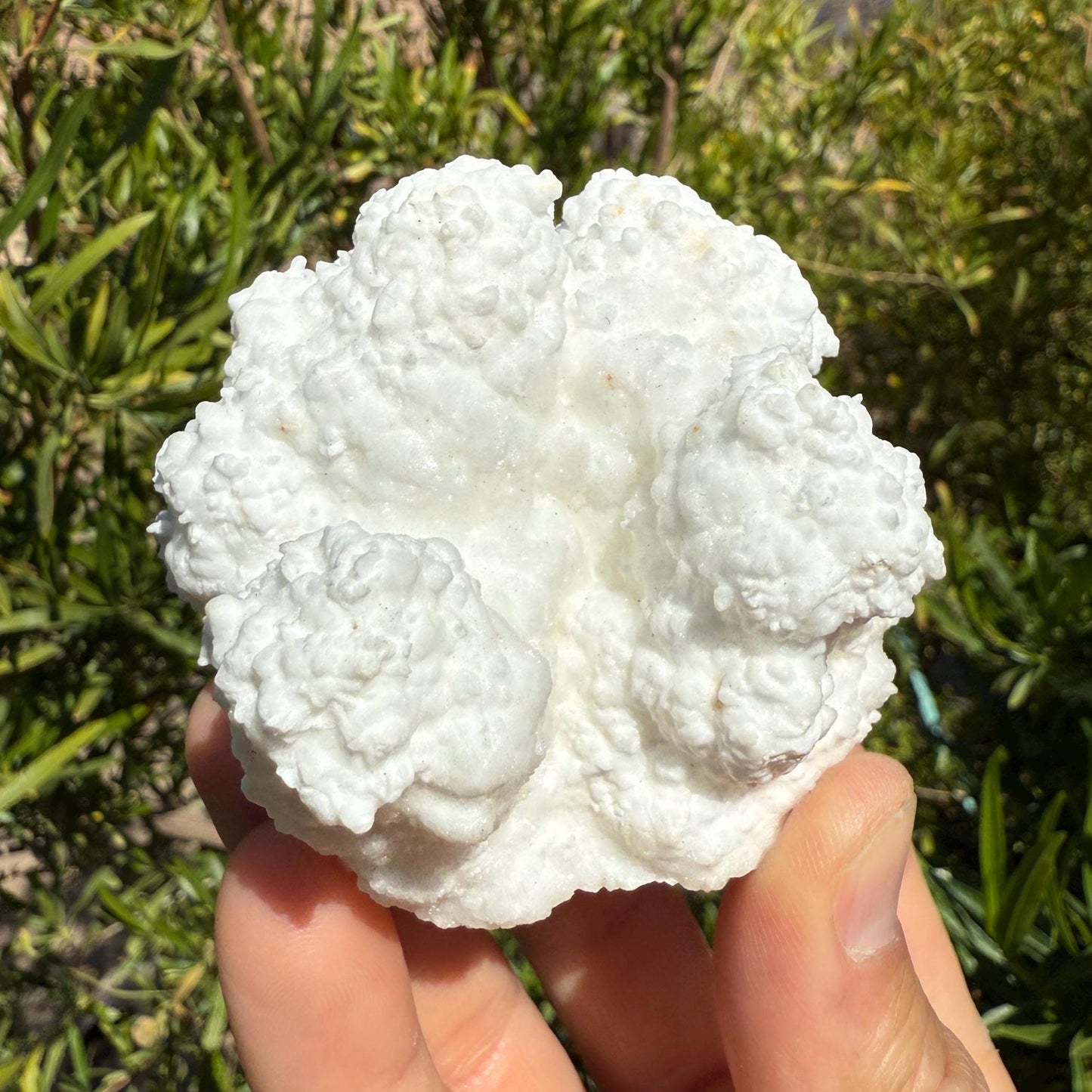 Cave Calcite Crystal, Rare Crystal, Grounding Crystal, Meditation, Reiki, Energy Healing, Rock Collection, Crystals, 228.67 Grams