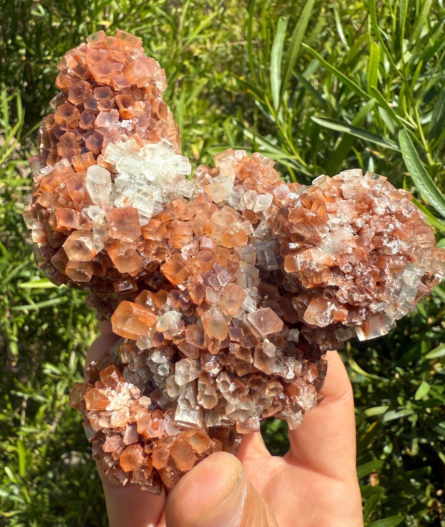 Beautiful Top Grade Aragonite Crystal, Aragonite, Aragonite Star Cluster, Confidence, Emotional Healing, Crystal, 1 lb 5.5 ounces