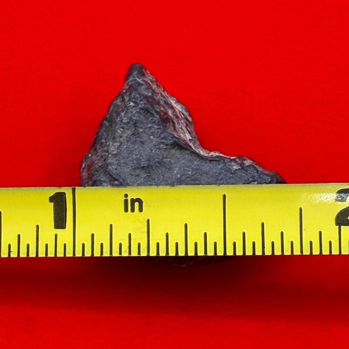 Meteorite NWA 869 Chondrite Stony Meteorite, 5.46 grams, Authentic Meteorite, Authentic Meteorite, COA, Astronomy Gift, Space Gift