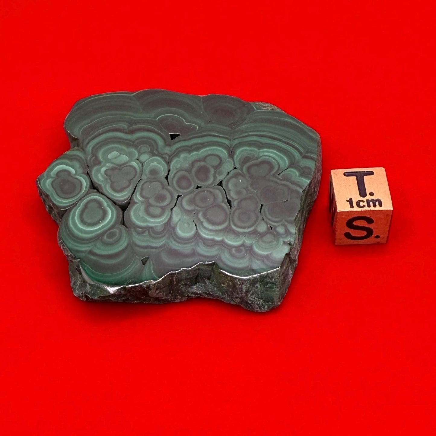 Polished Malachite Slice, High Quality Malachite, Excellent Quality Malachite Slab, Heart Chakra, Protection, Healing Stone, 52.48 grams