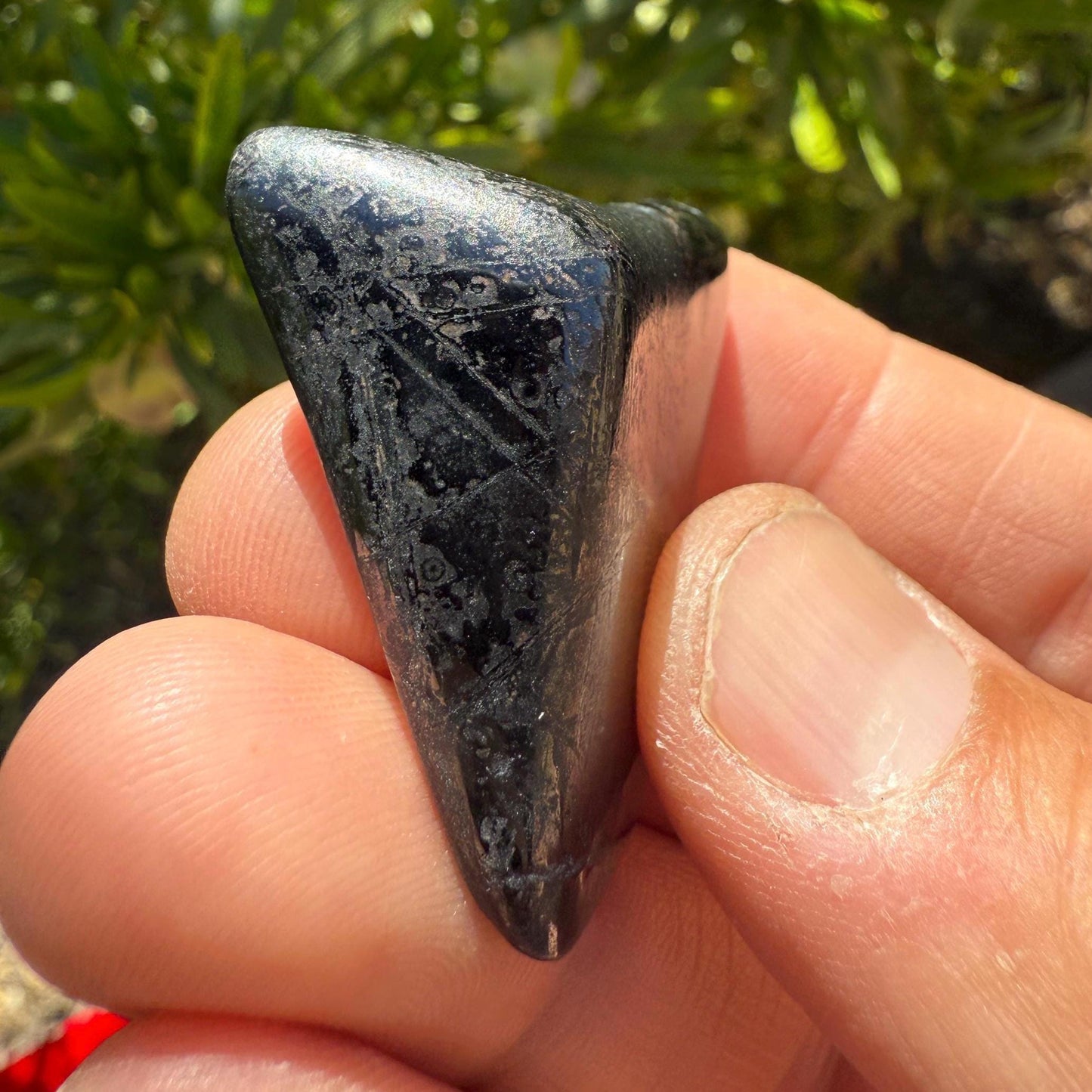Sugalite Specimen, Polished Sugalite, Rare Sugalite, Inner Peace, South African, Reiki Energy Work, Authentic Sugalite, 18.34 grams