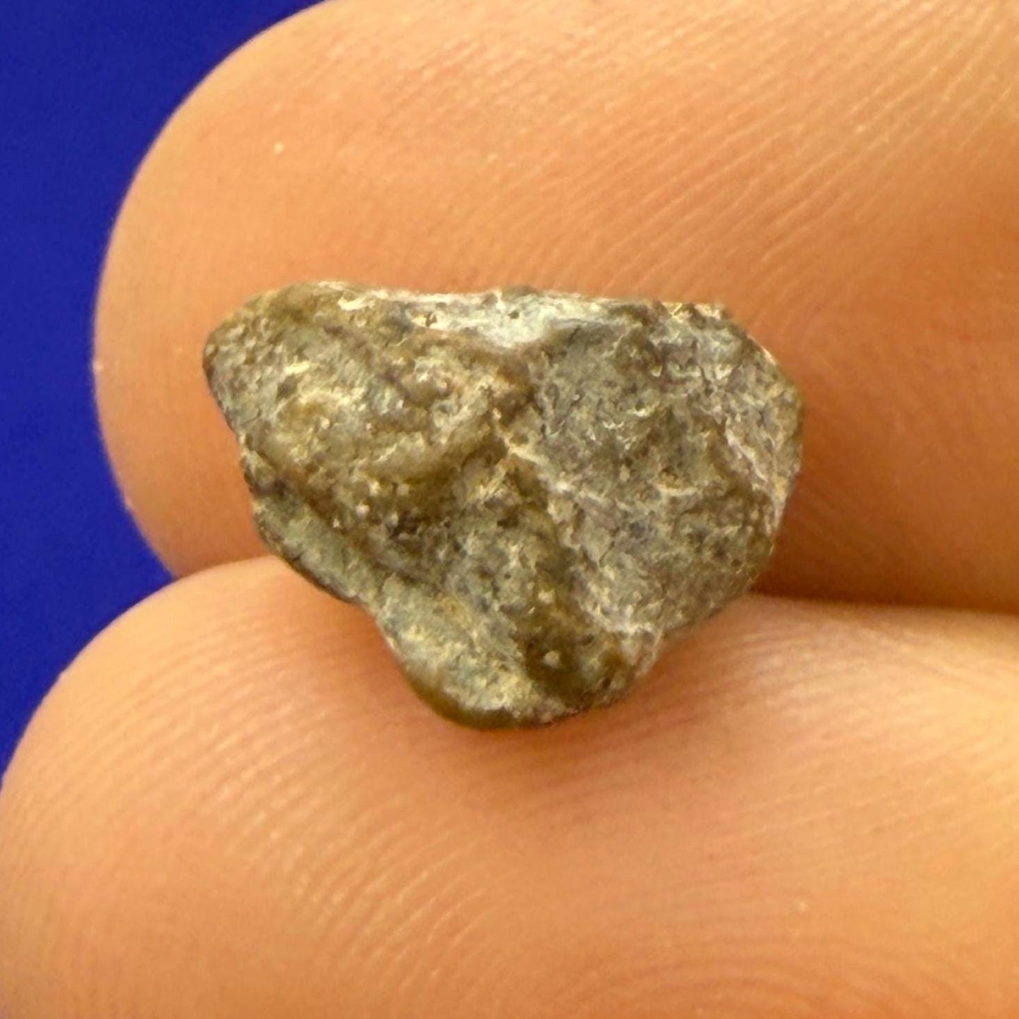 NWA 13974 Moon|Lunar Meteorite, Feldspathic Breccia, Moon Meteorite, Meteorite Collection, Lunar Feldspathic Breccia, 0.82 grams